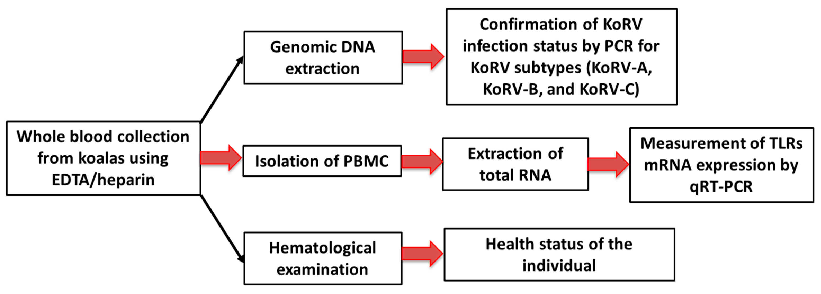 Animals 11 00983 g001 Animals 11 00983 g001