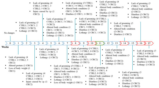 Animals 11 00985 g003