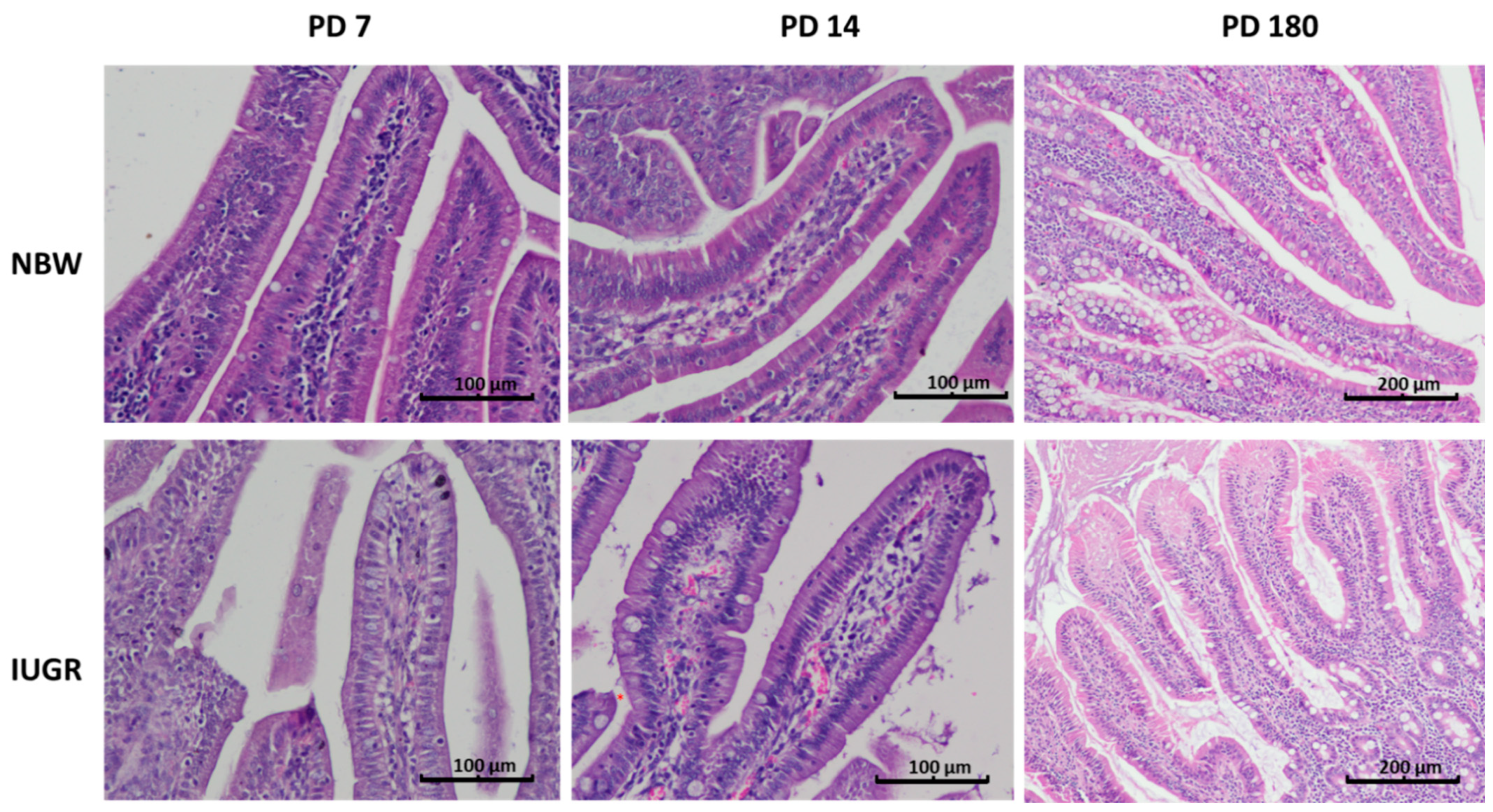 Animals 11 00990 g001
