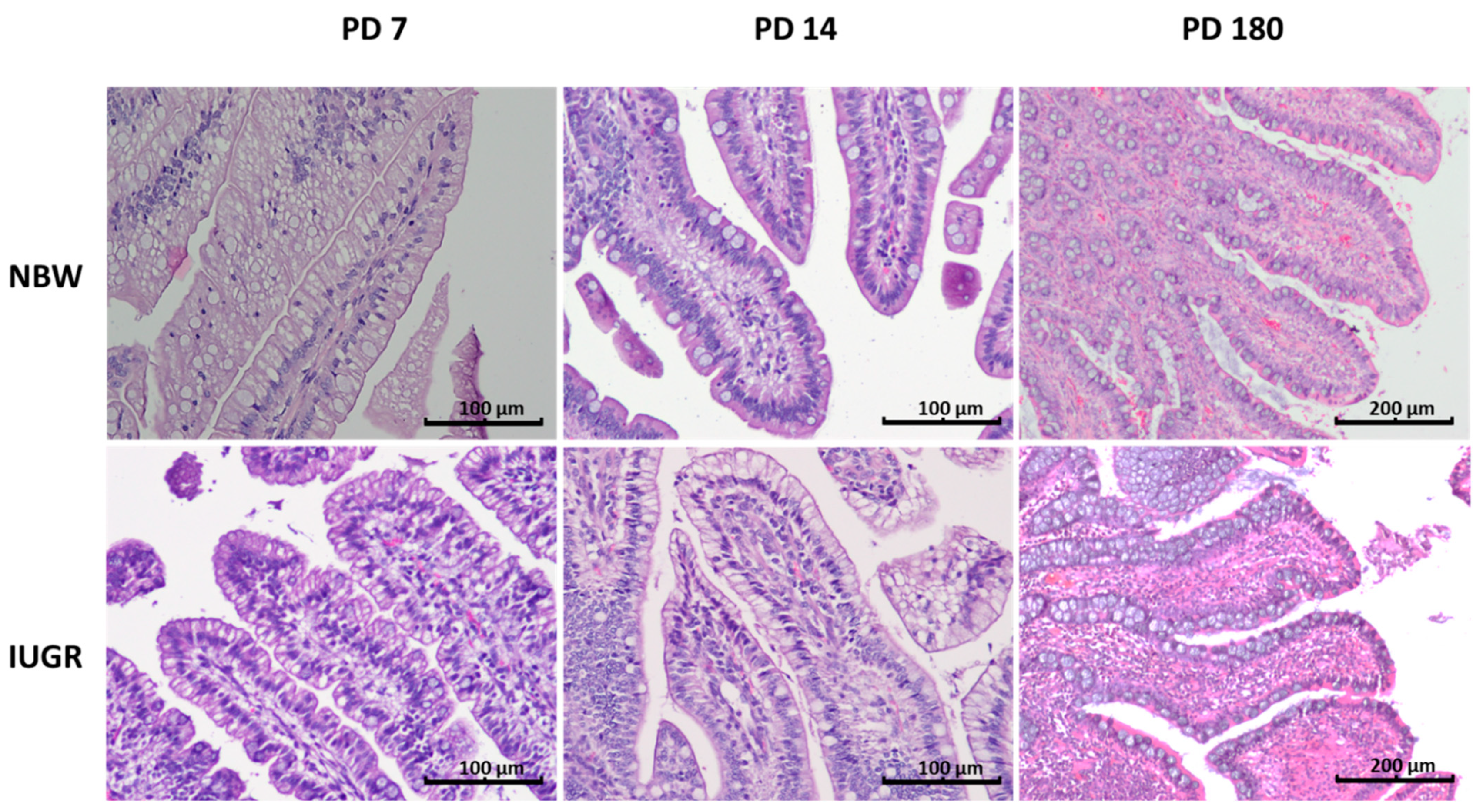 Animals 11 00990 g003