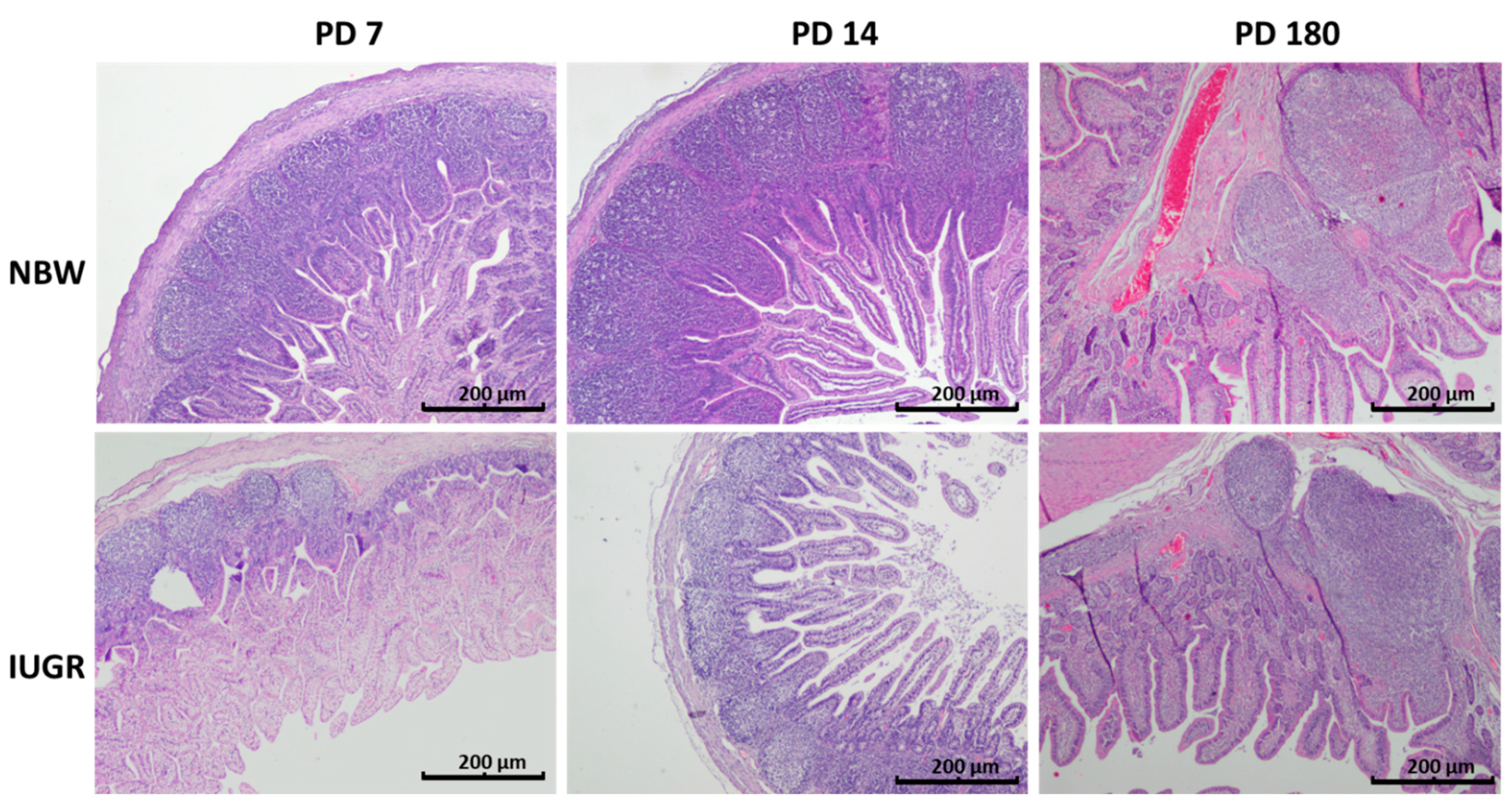 Animals 11 00990 g004