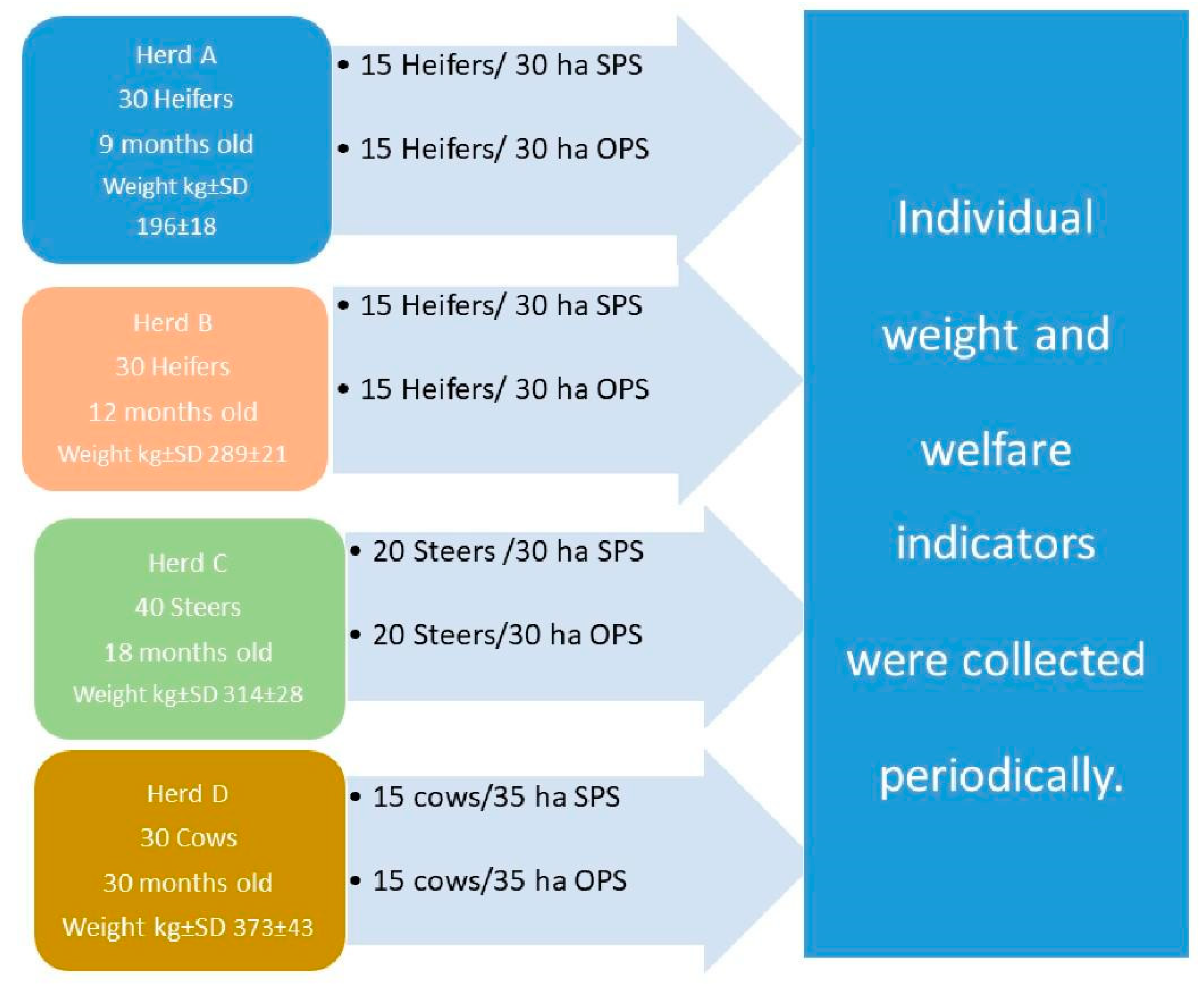Animals 11 00992 g001