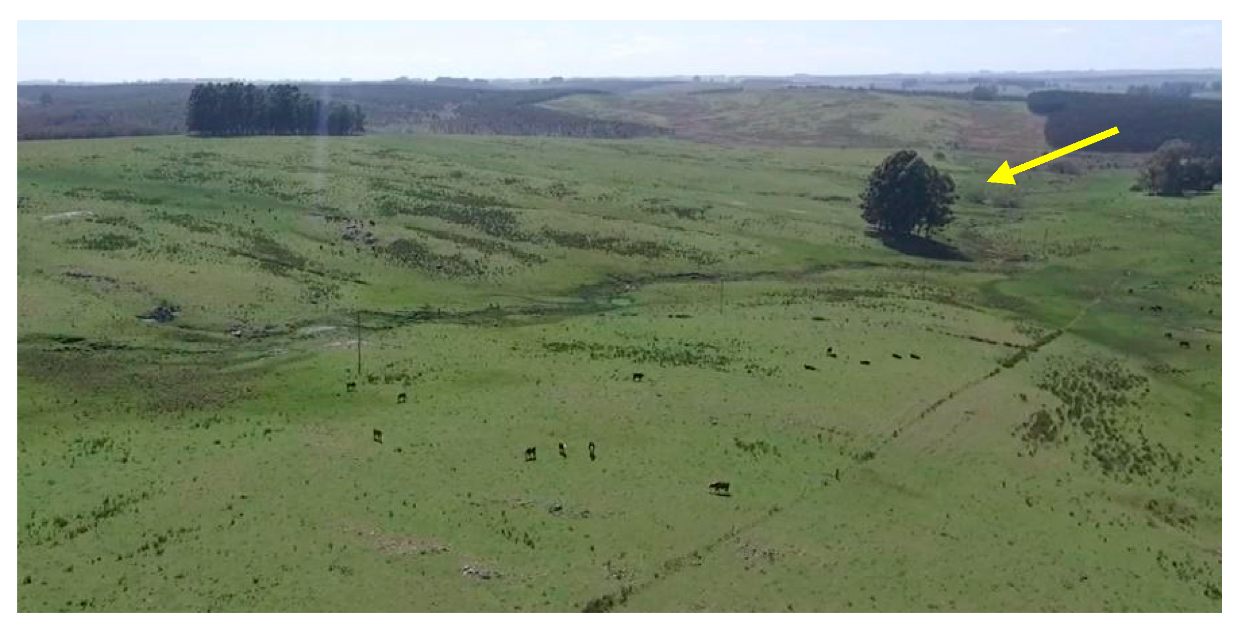 Animals 11 00992 g003