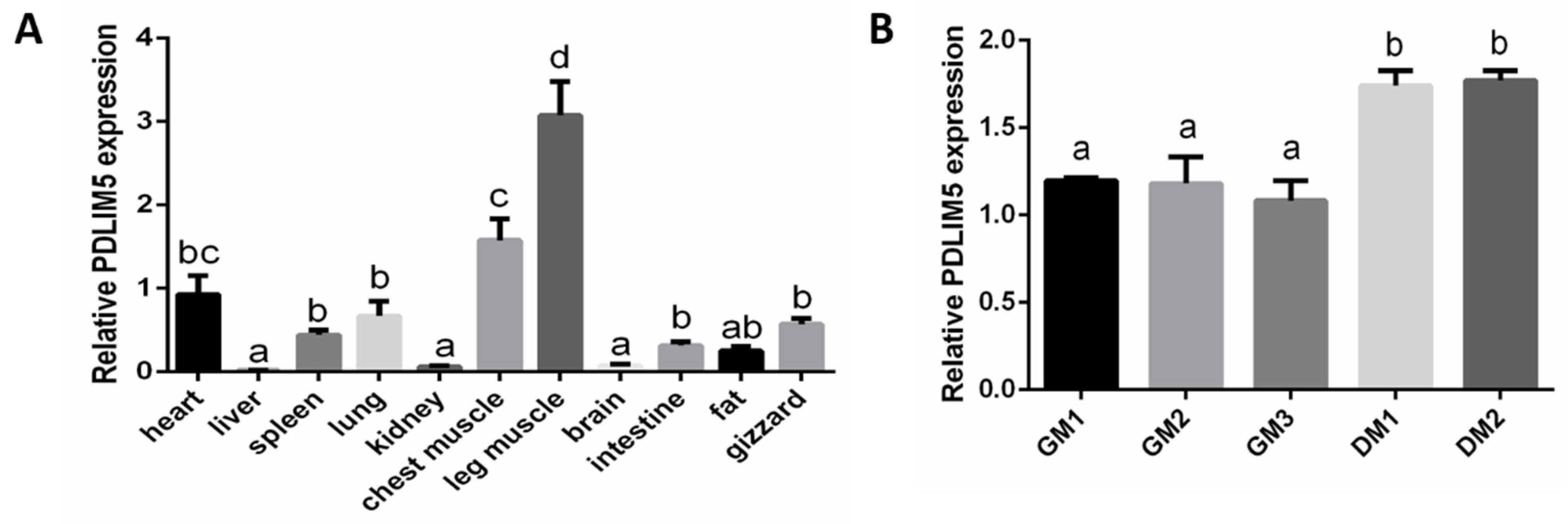 Animals 11 01016 g001