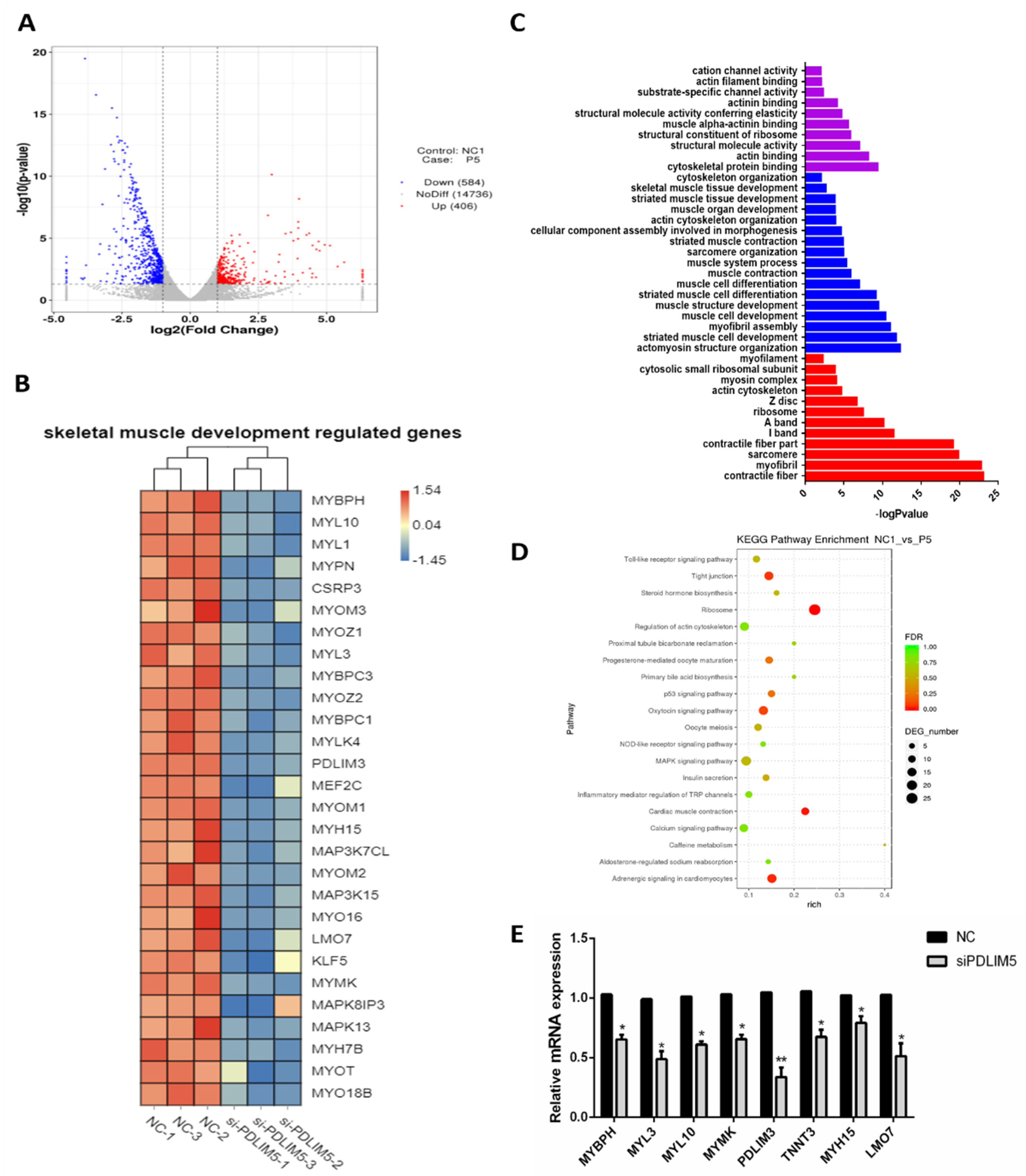 Animals 11 01016 g004