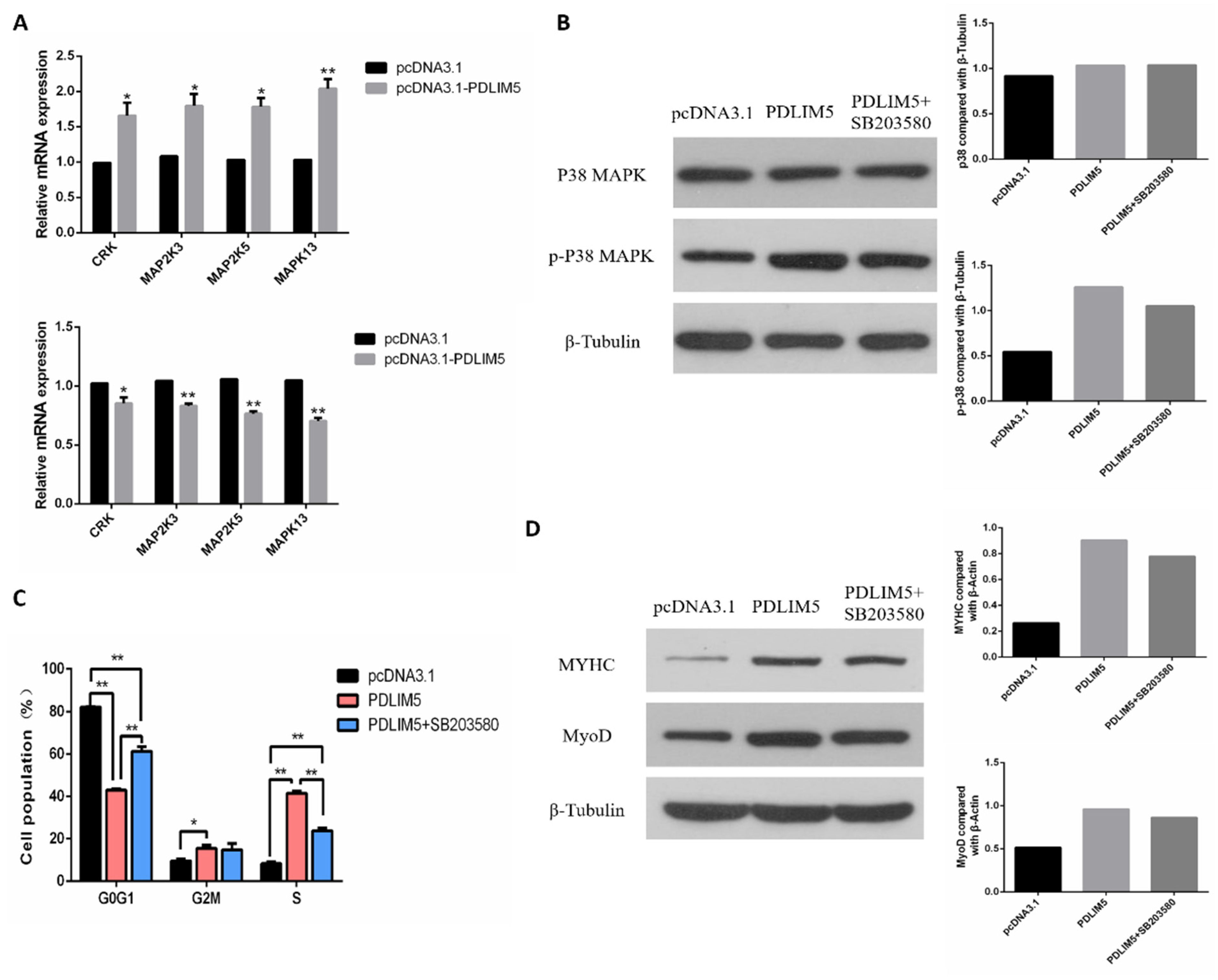 Animals 11 01016 g005