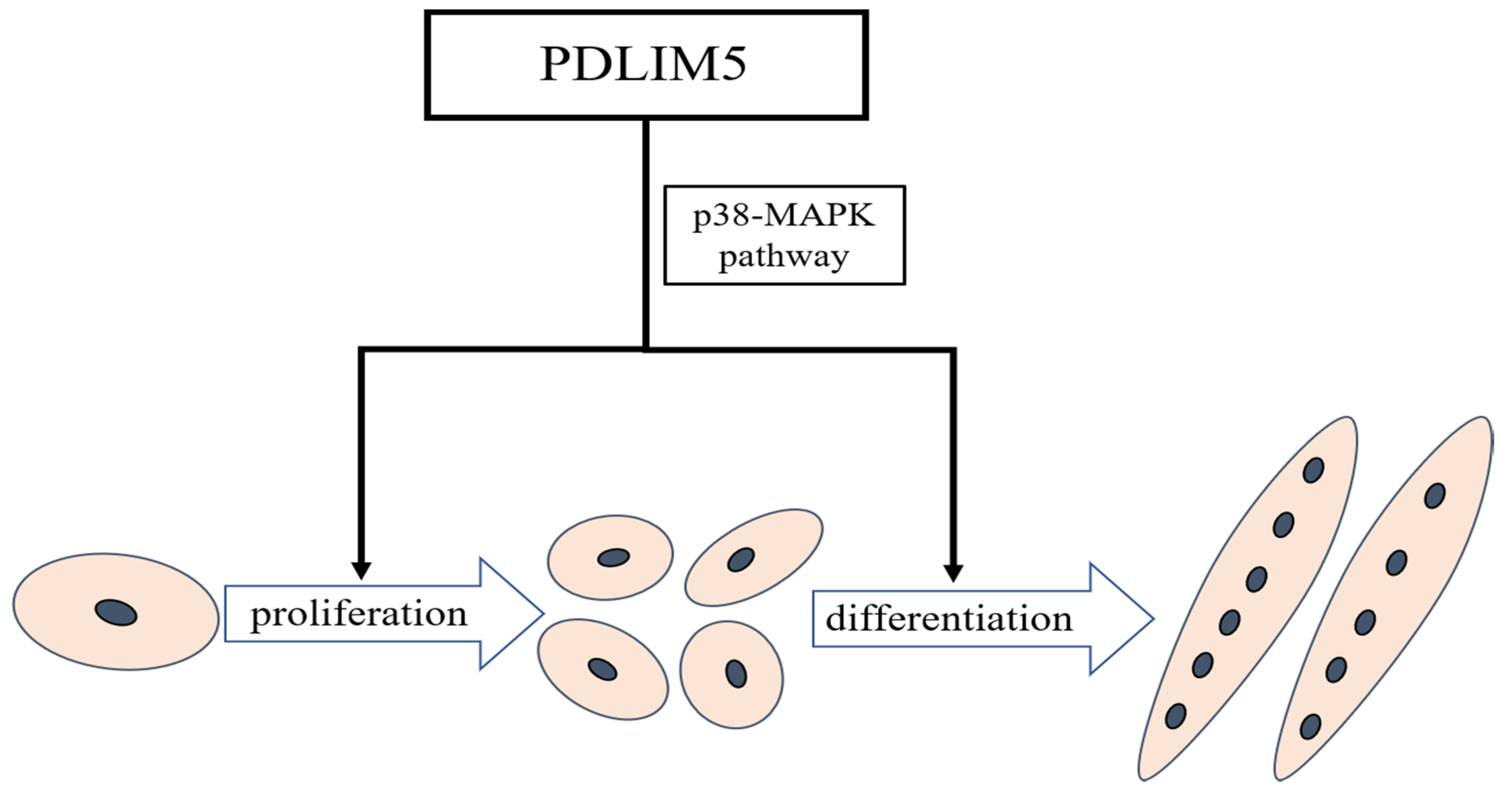 Animals 11 01016 g006