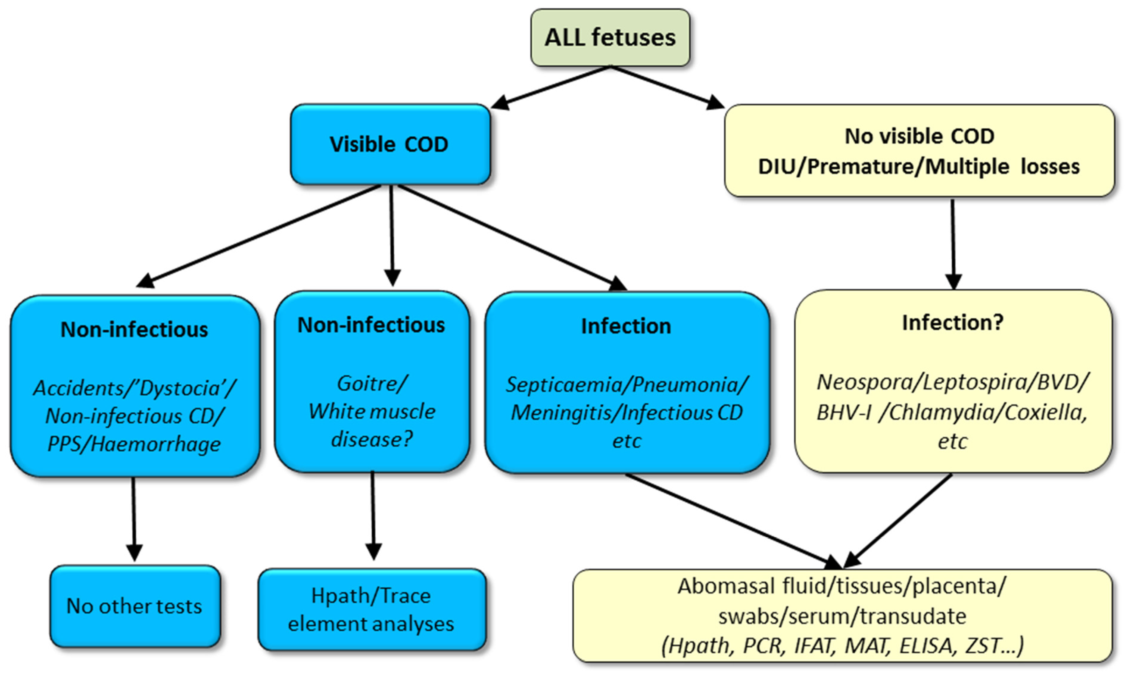 Animals 11 01033 g008