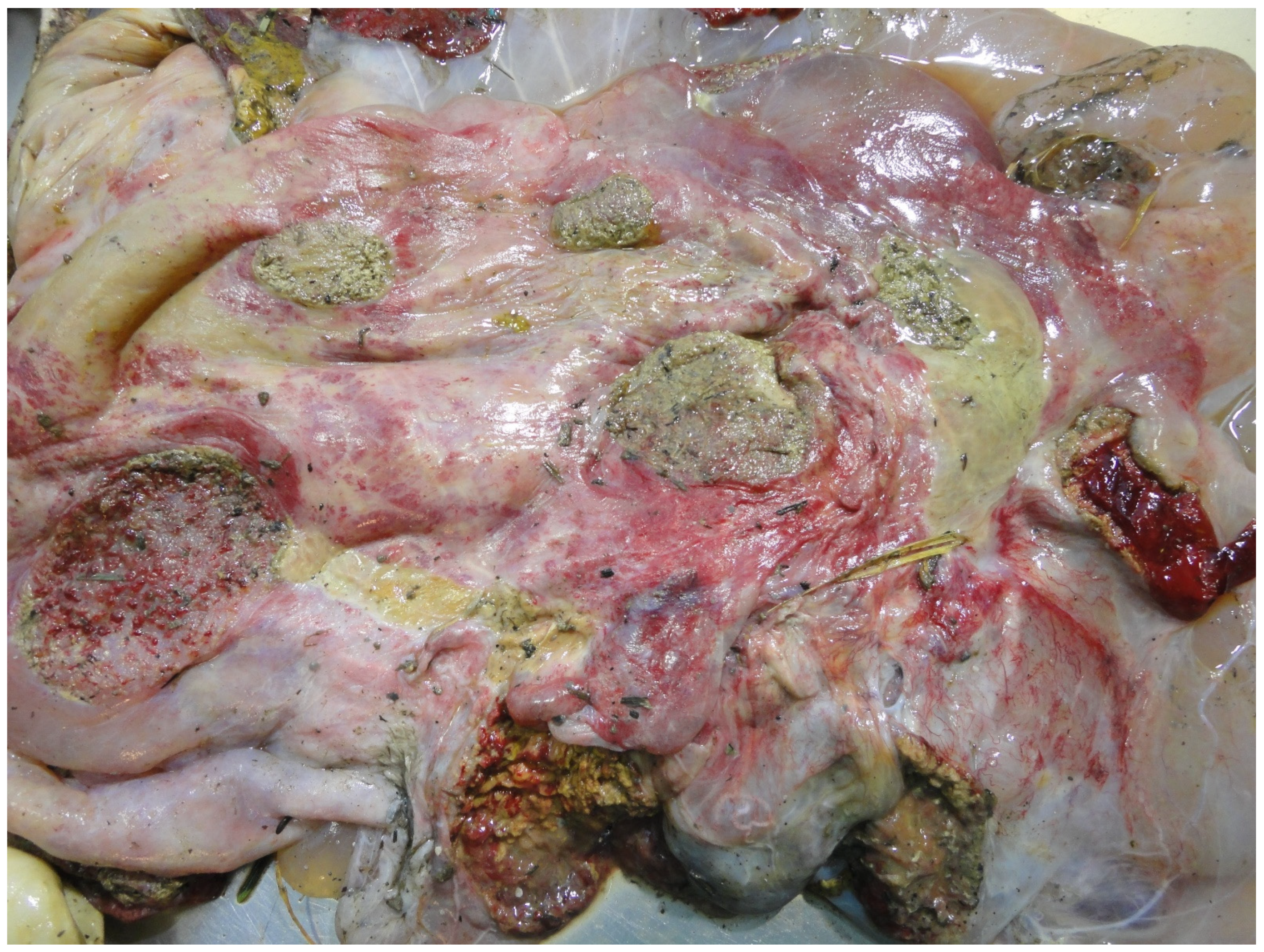 Animals 11 01033 g009