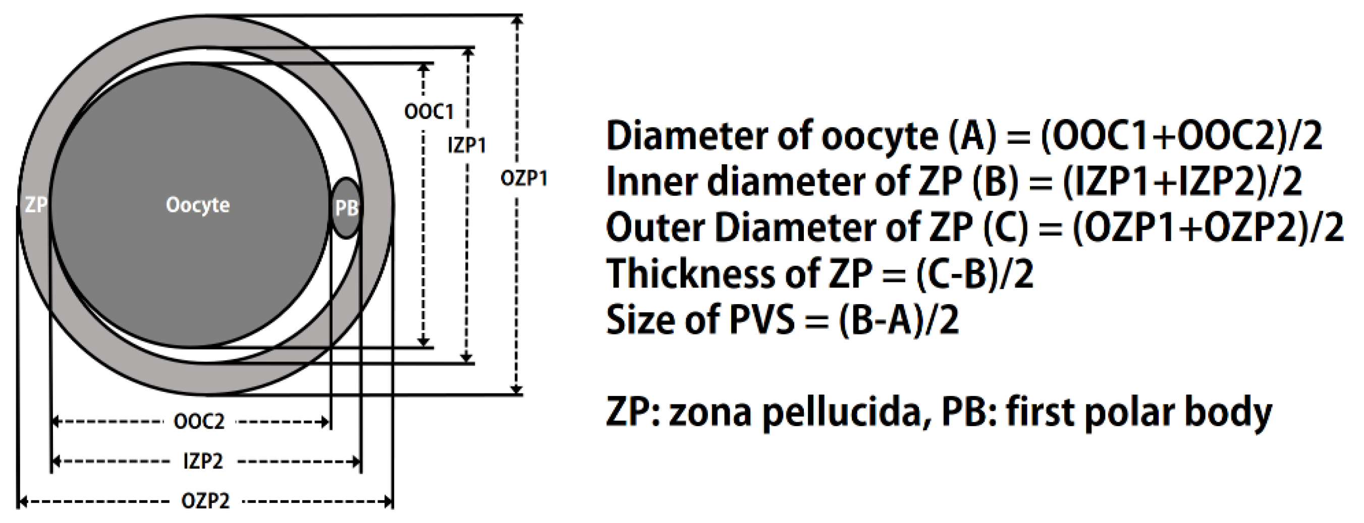 Animals 11 01034 g001