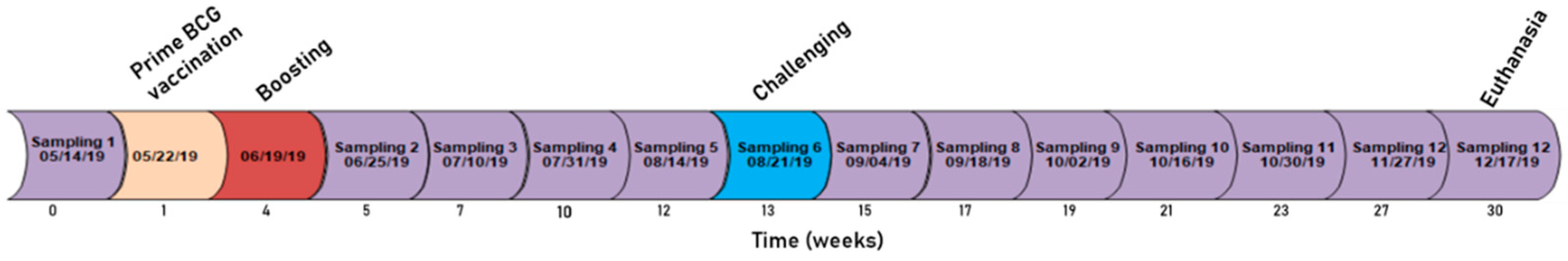 Animals 11 01046 g001