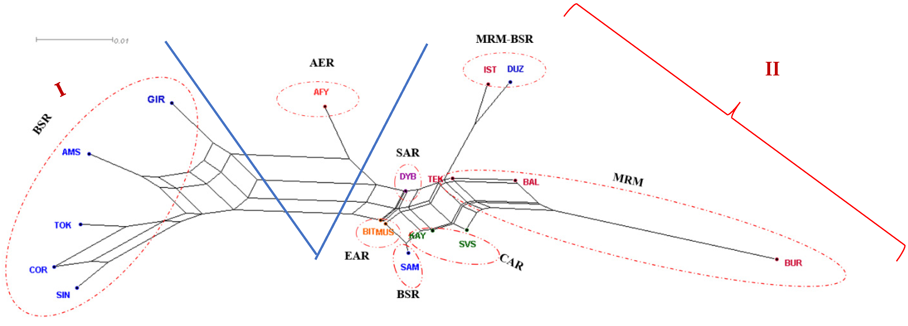 Animals 11 01067 g002 Animals 11 01067 g002