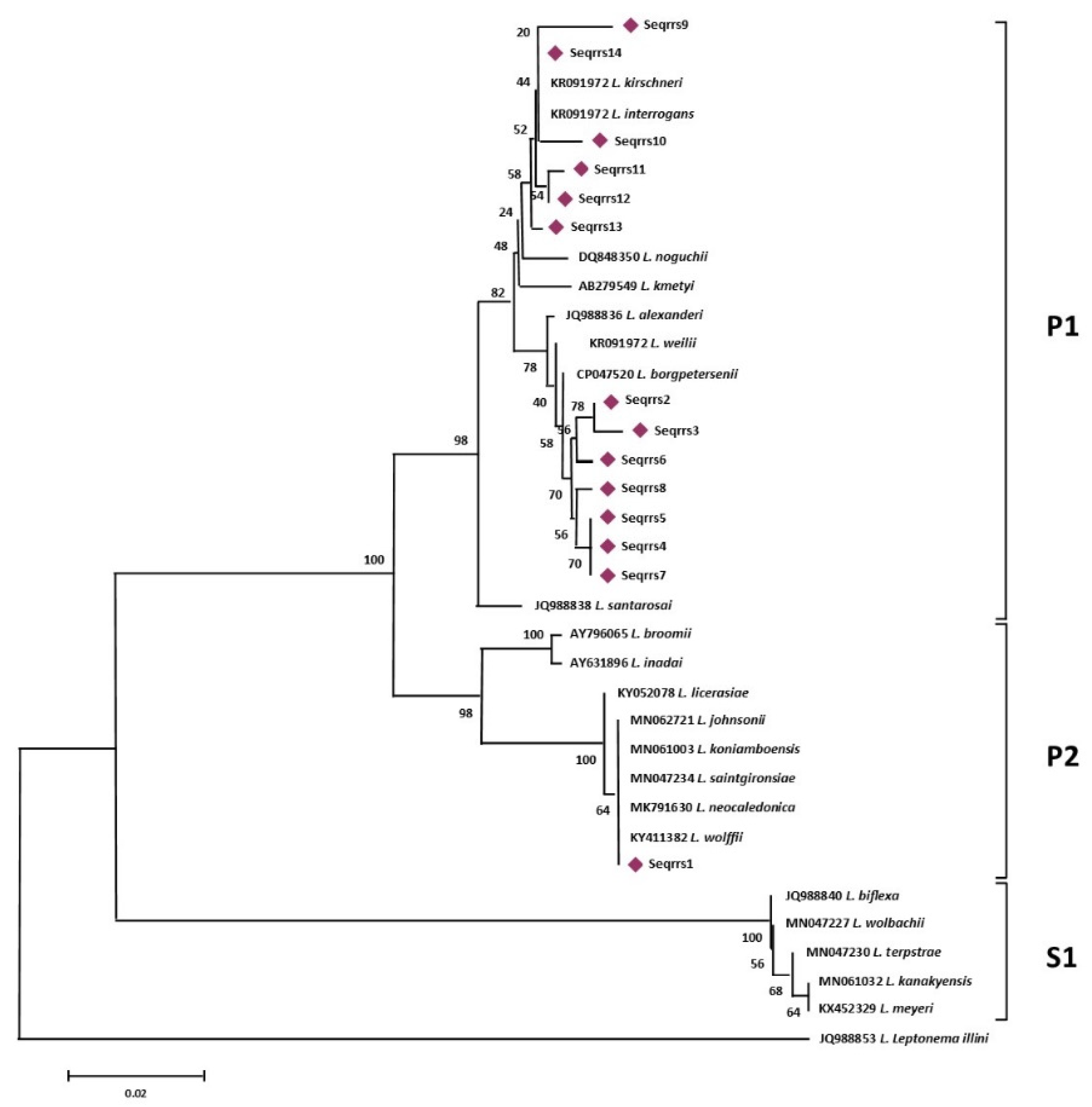 Animals 11 01109 g001 Animals 11 01109 g001
