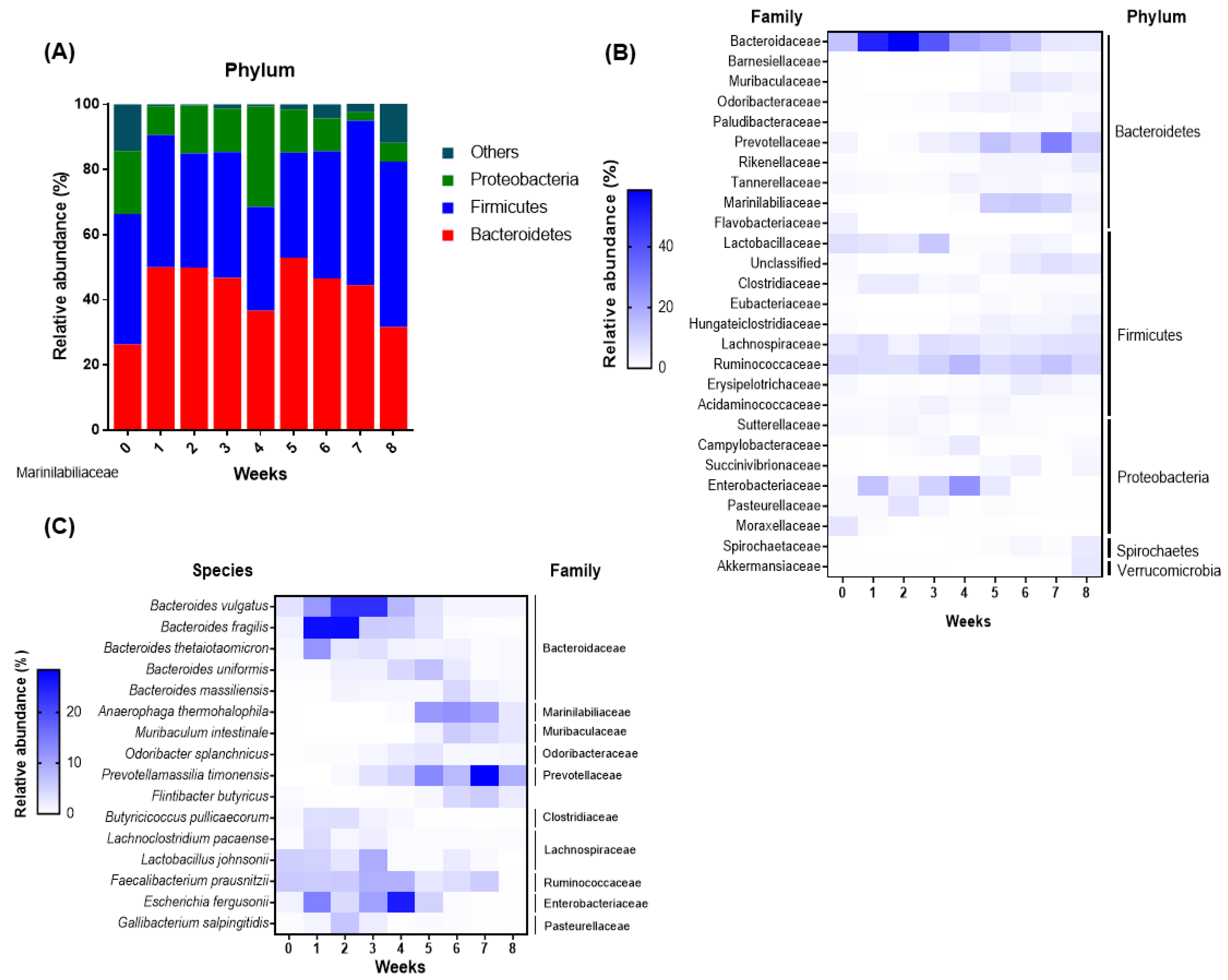 Animals 11 01113 g004