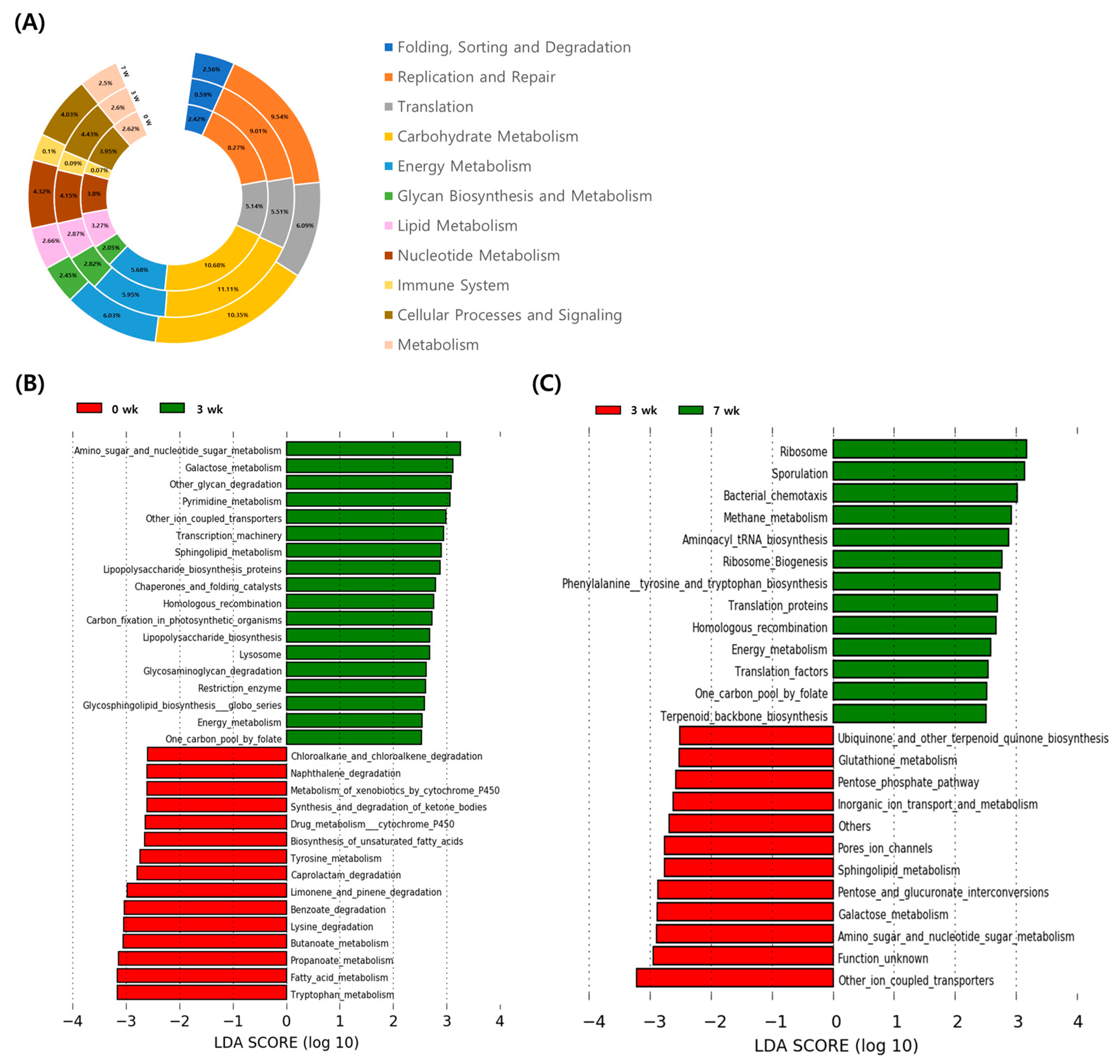 Animals 11 01113 g005