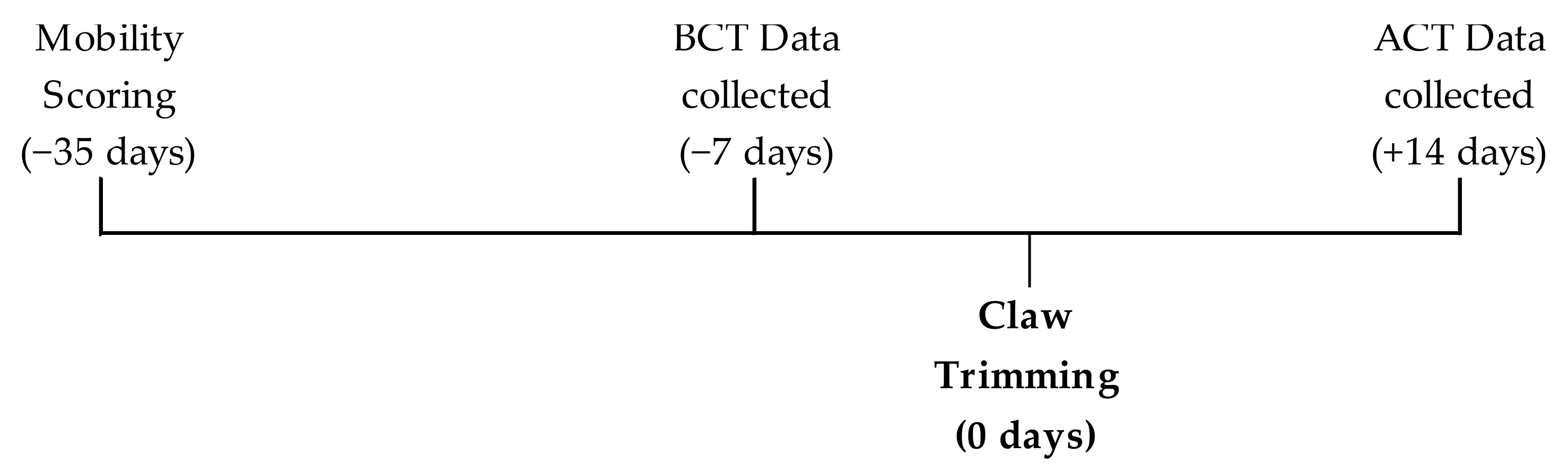 Animals 11 01120 g001