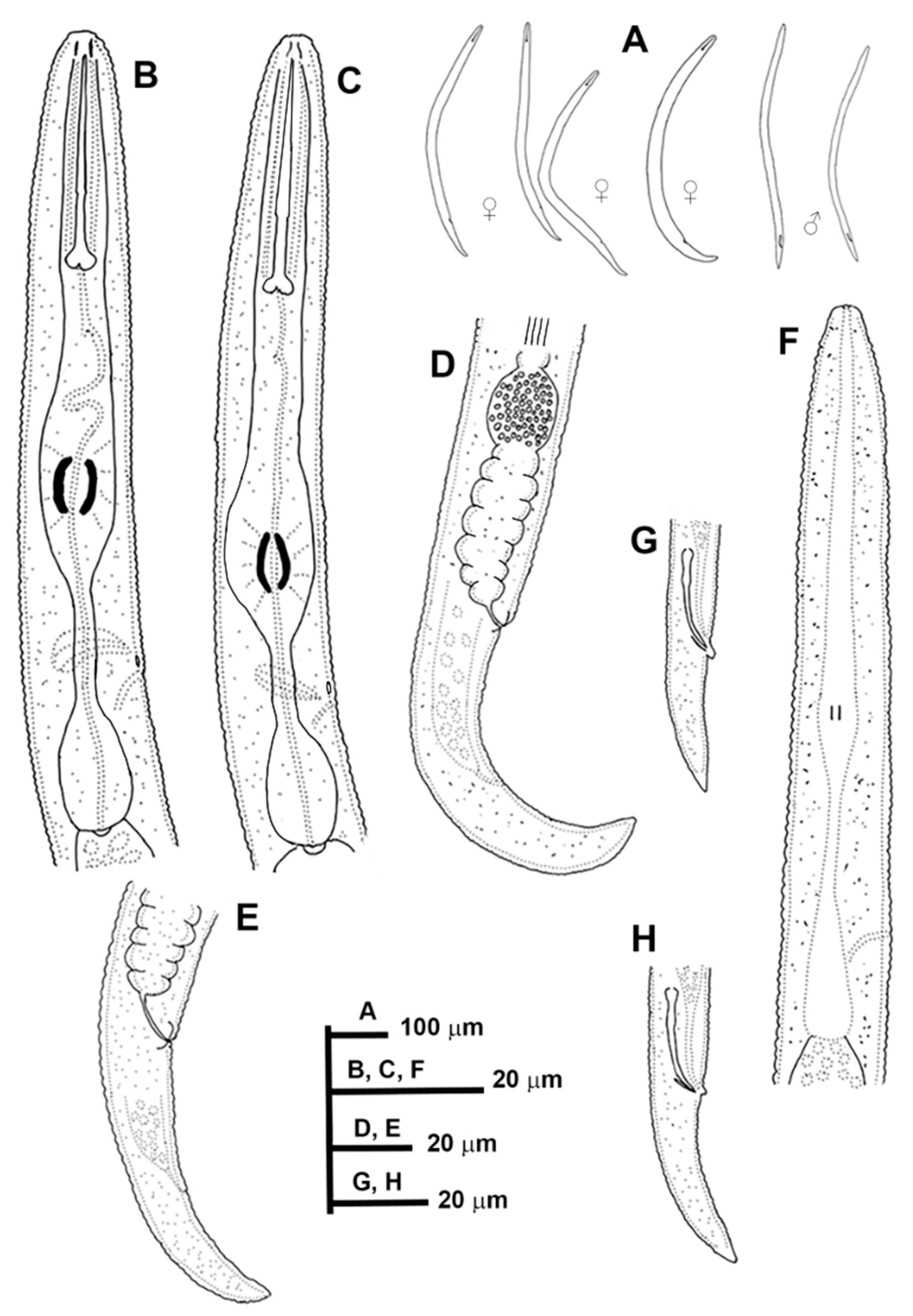 Animals 11 01161 g001