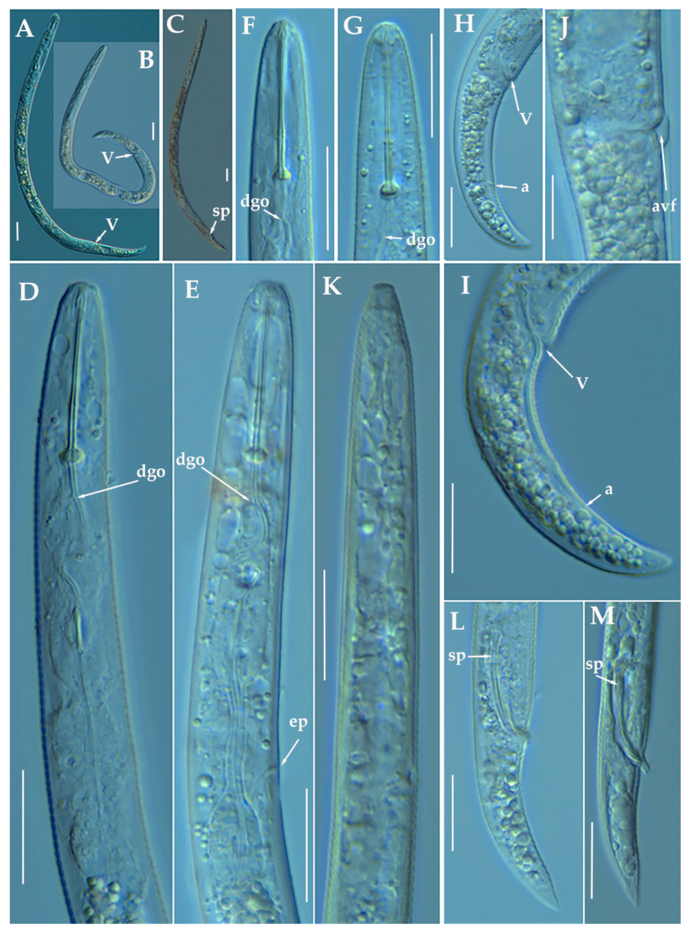 Animals 11 01161 g002
