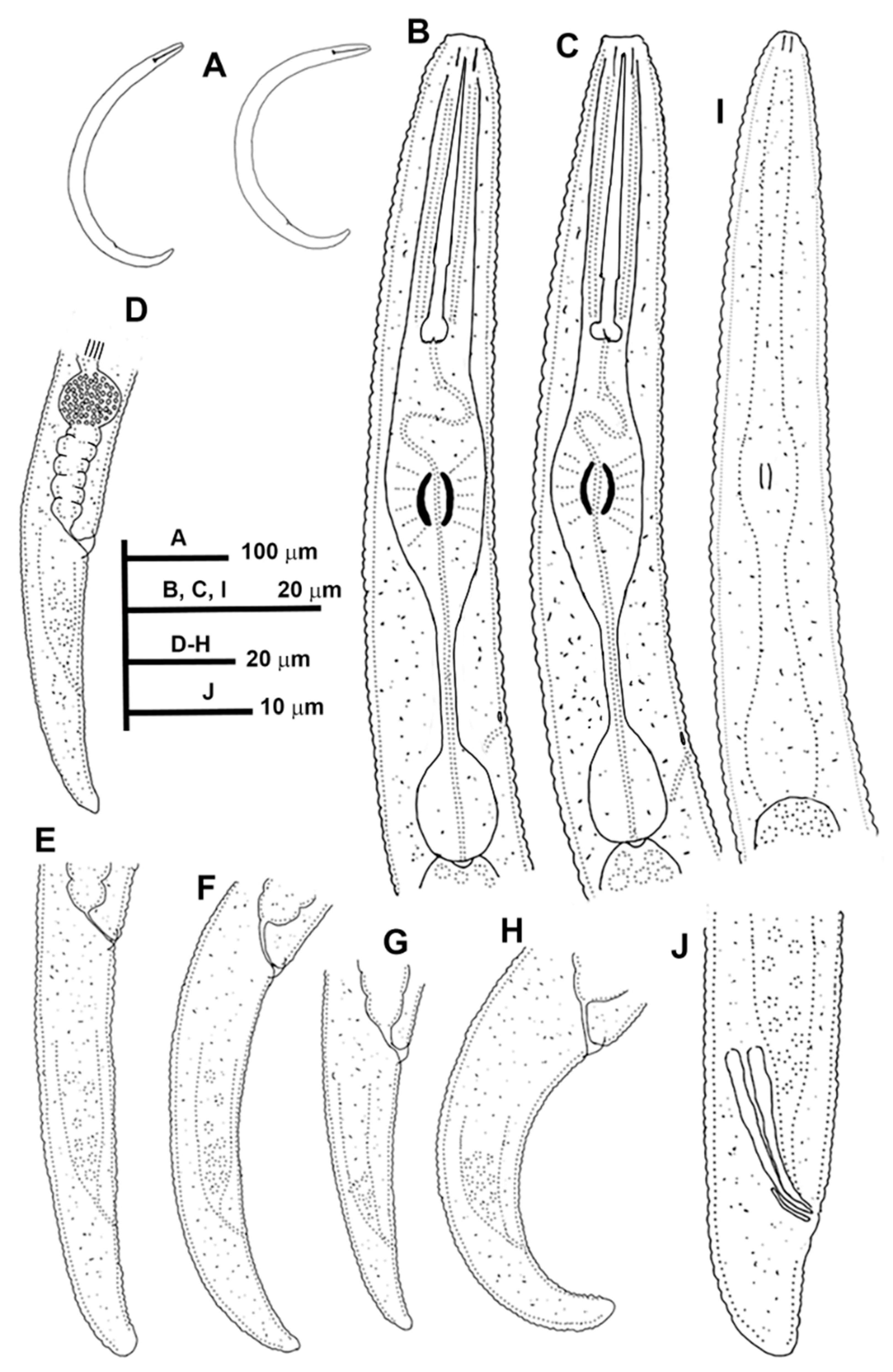 Animals 11 01161 g006