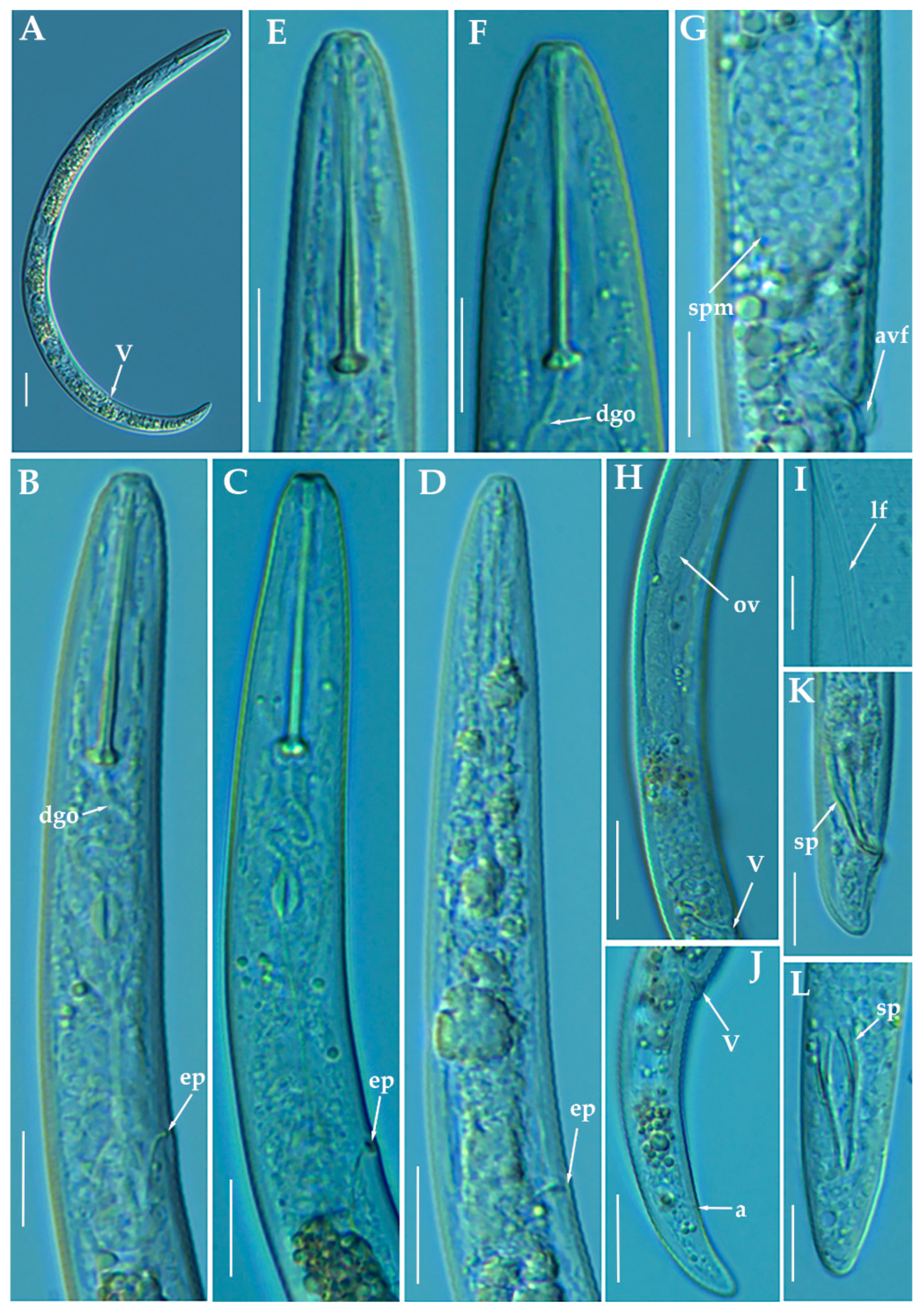 Animals 11 01161 g007