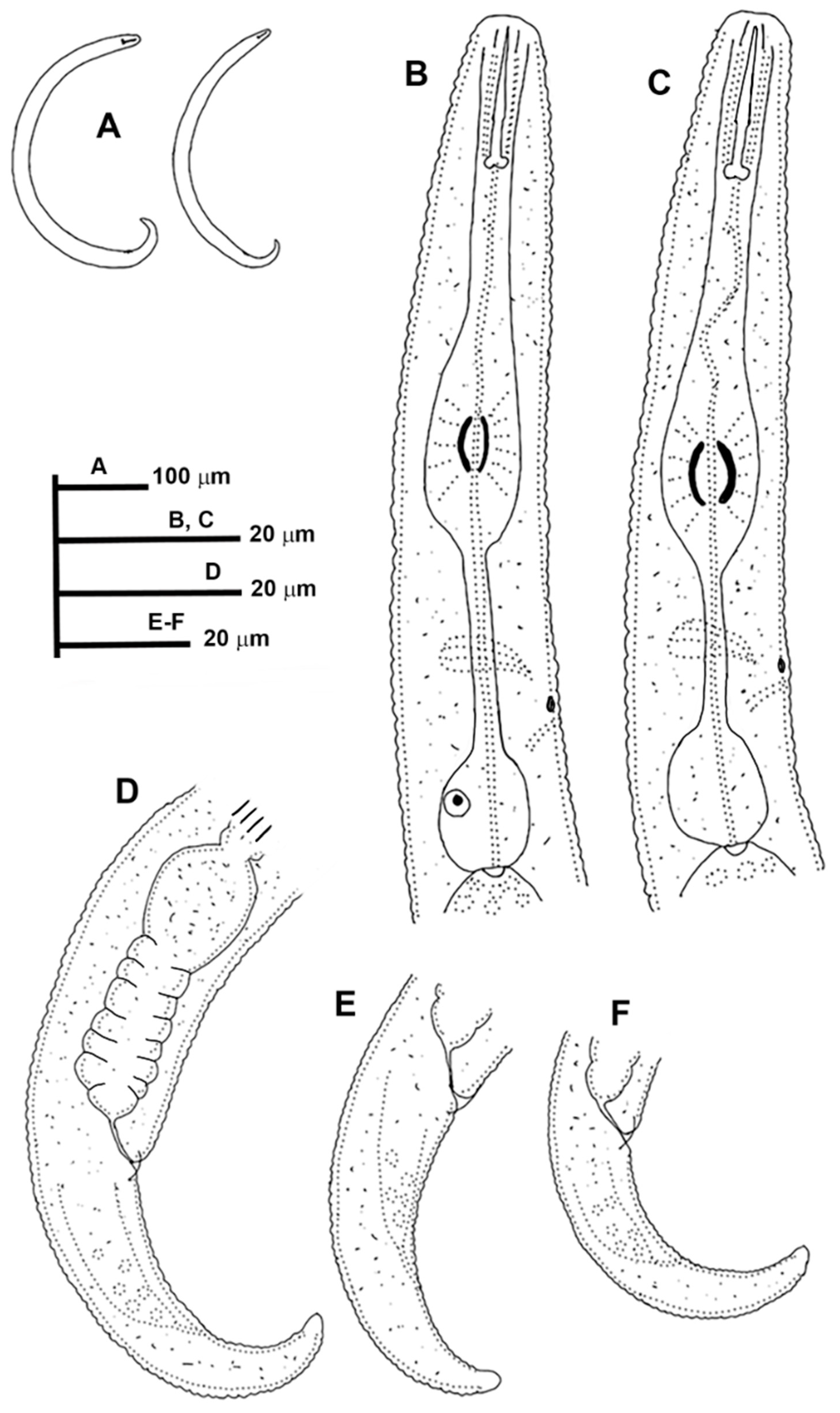 Animals 11 01161 g009