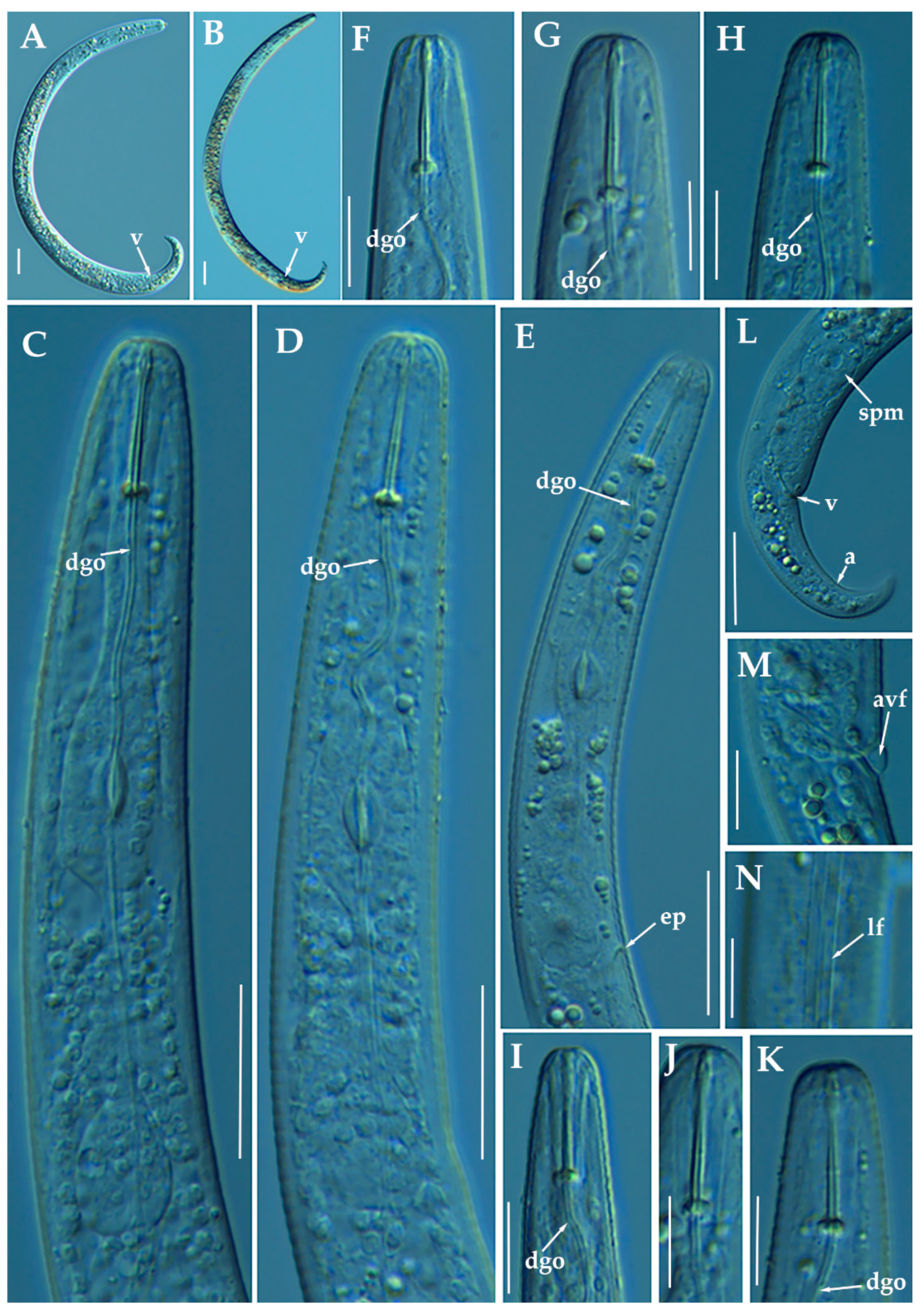 Animals 11 01161 g010