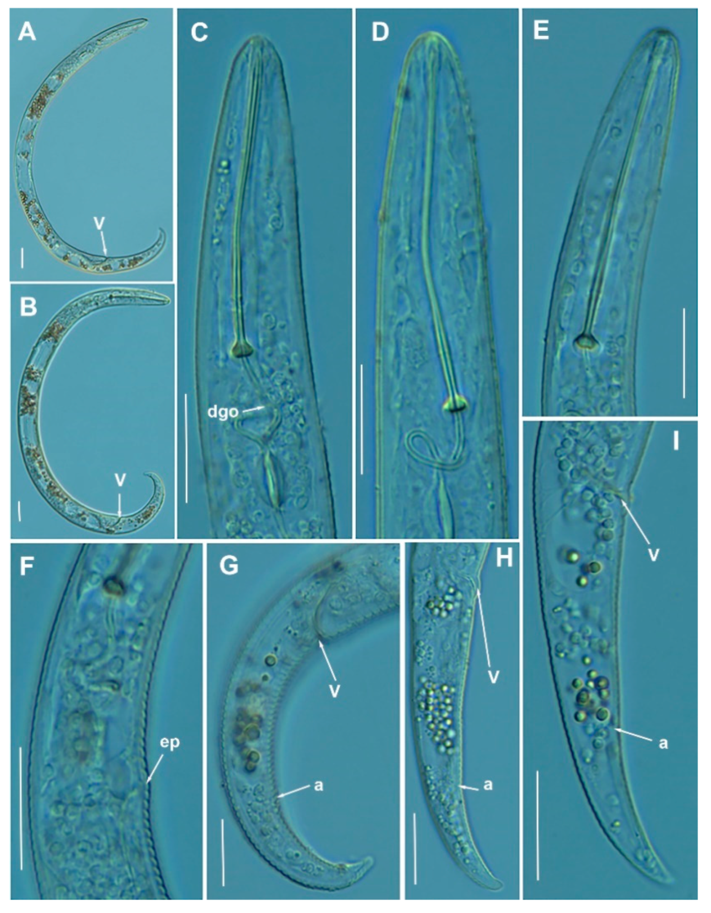 Animals 11 01161 g013