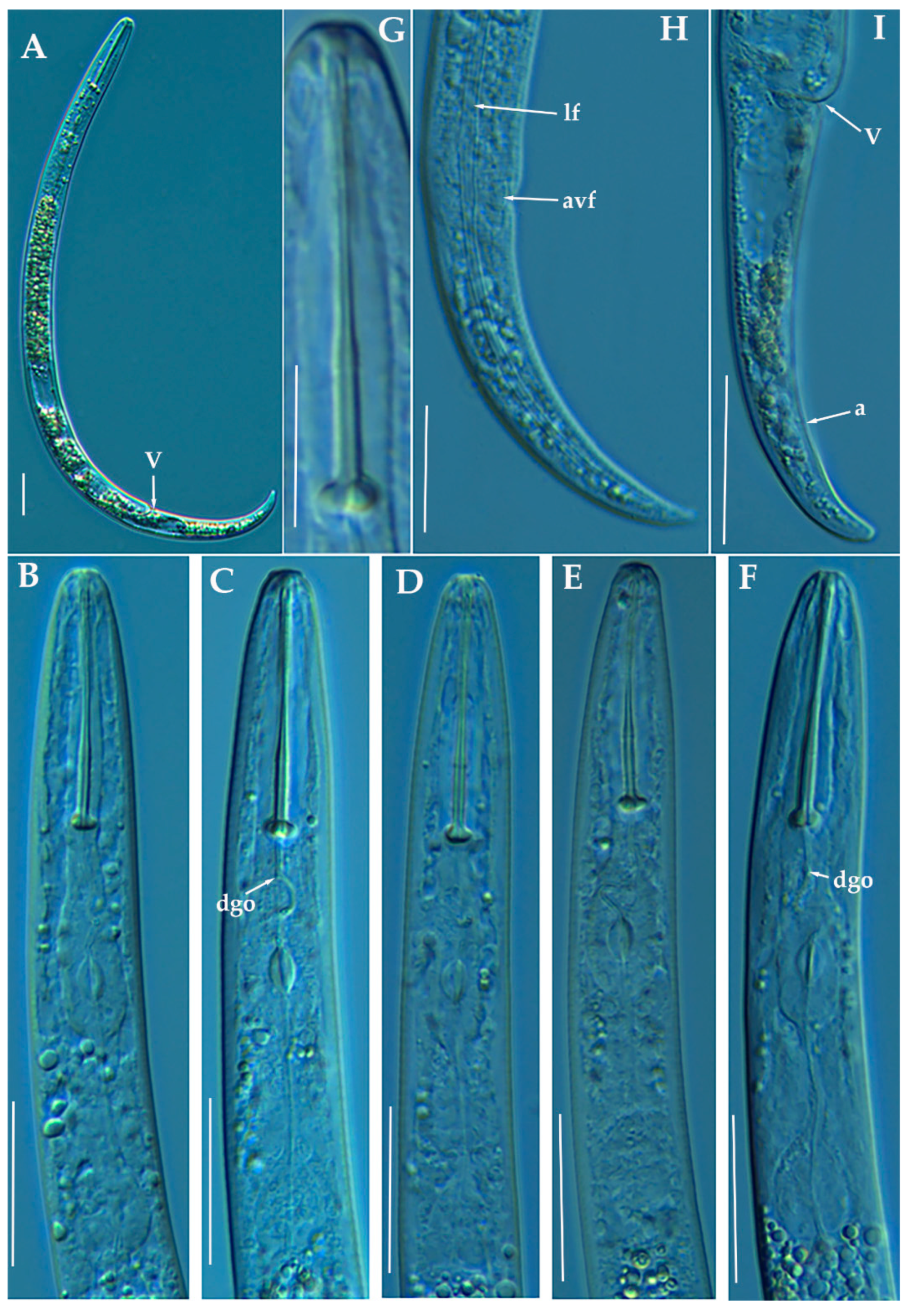Animals 11 01161 g014