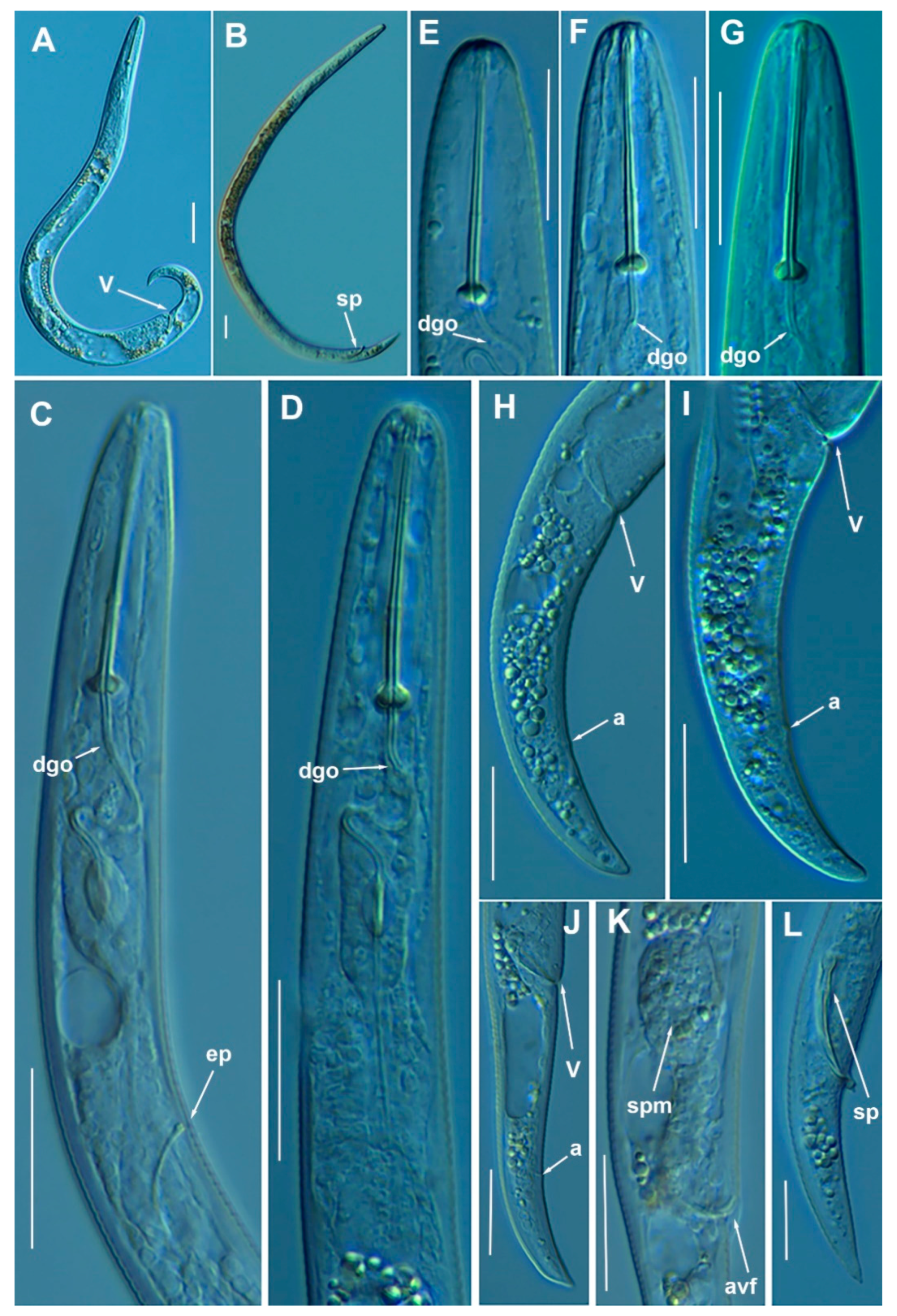 Animals 11 01161 g015