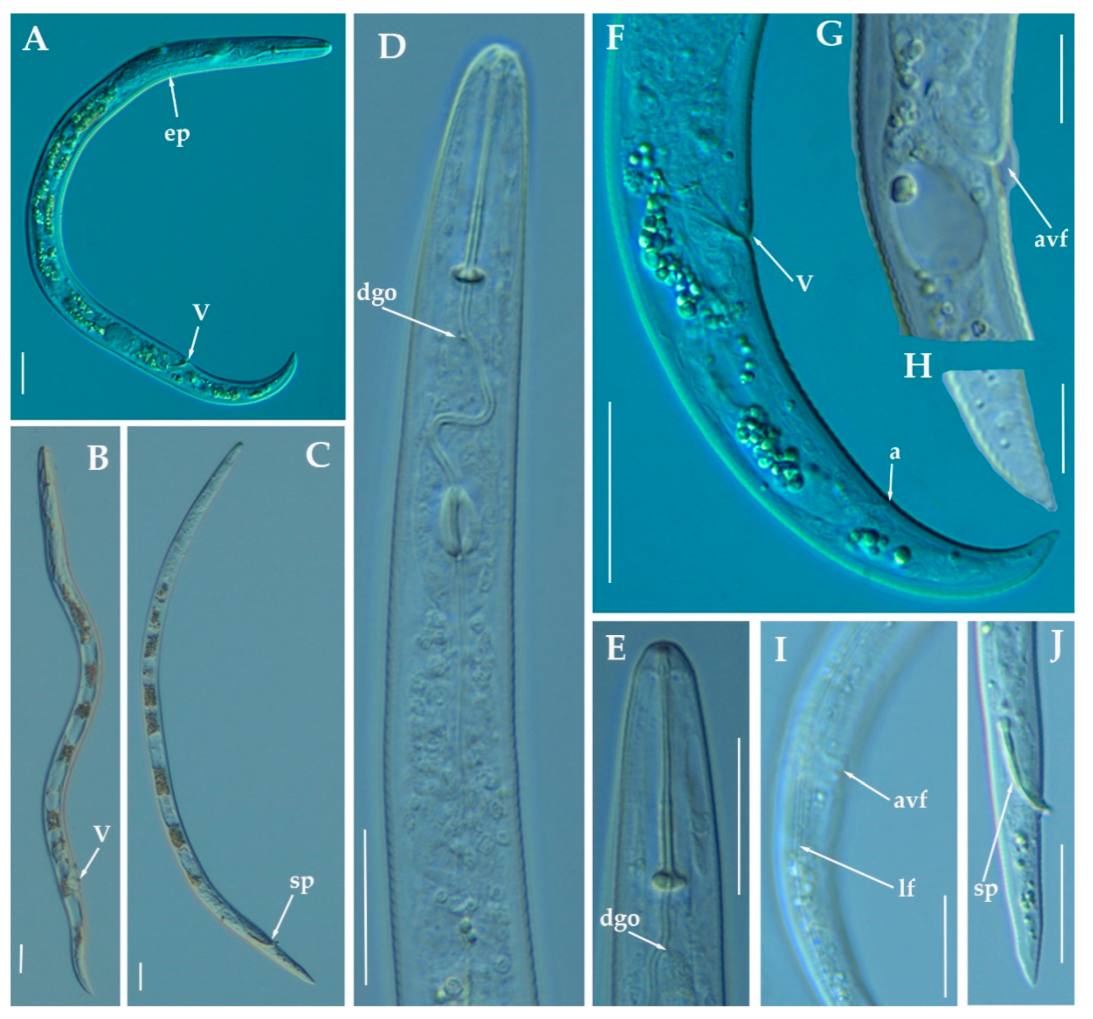 Animals 11 01161 g016