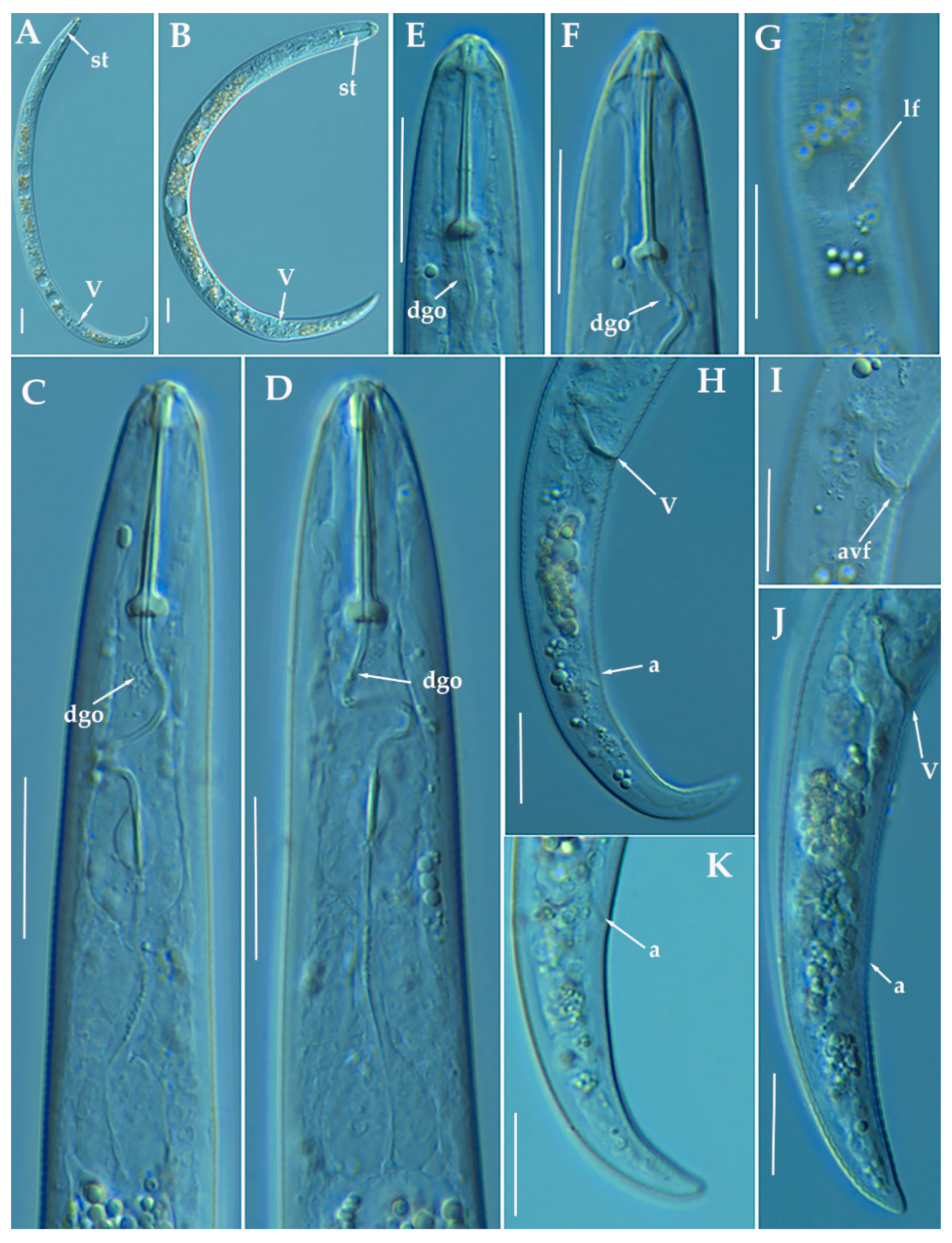 Animals 11 01161 g017