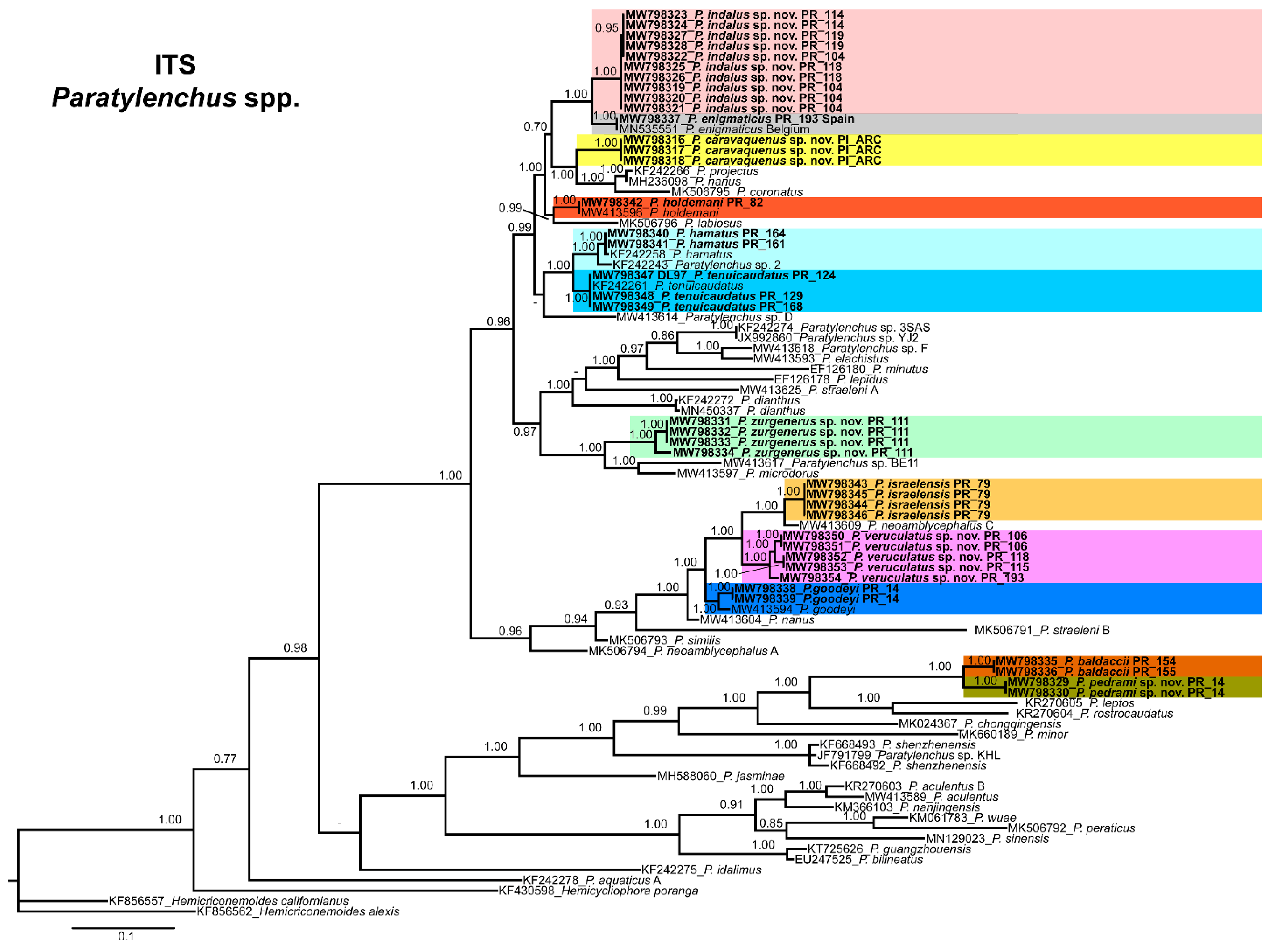 Animals 11 01161 g021