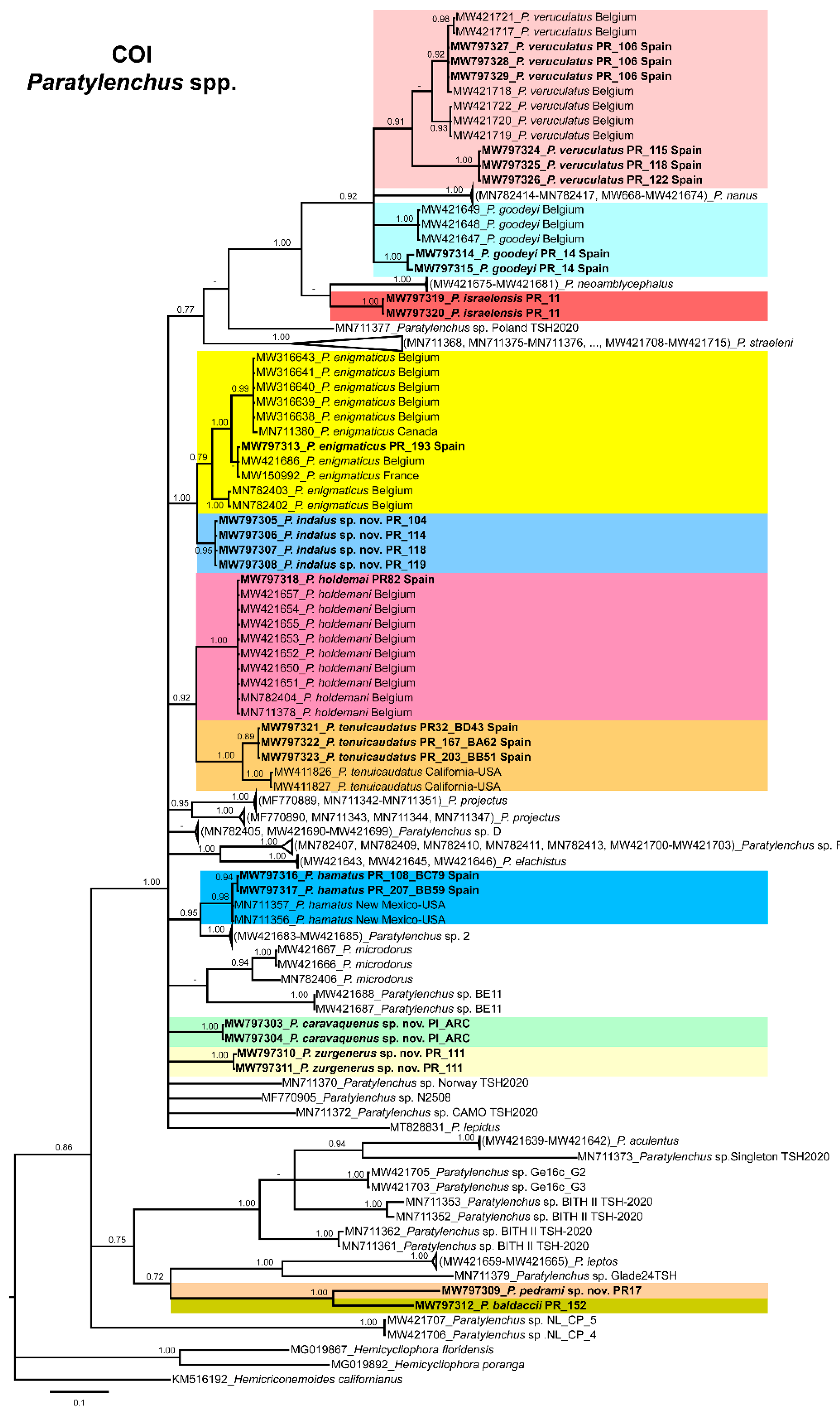 Animals 11 01161 g022