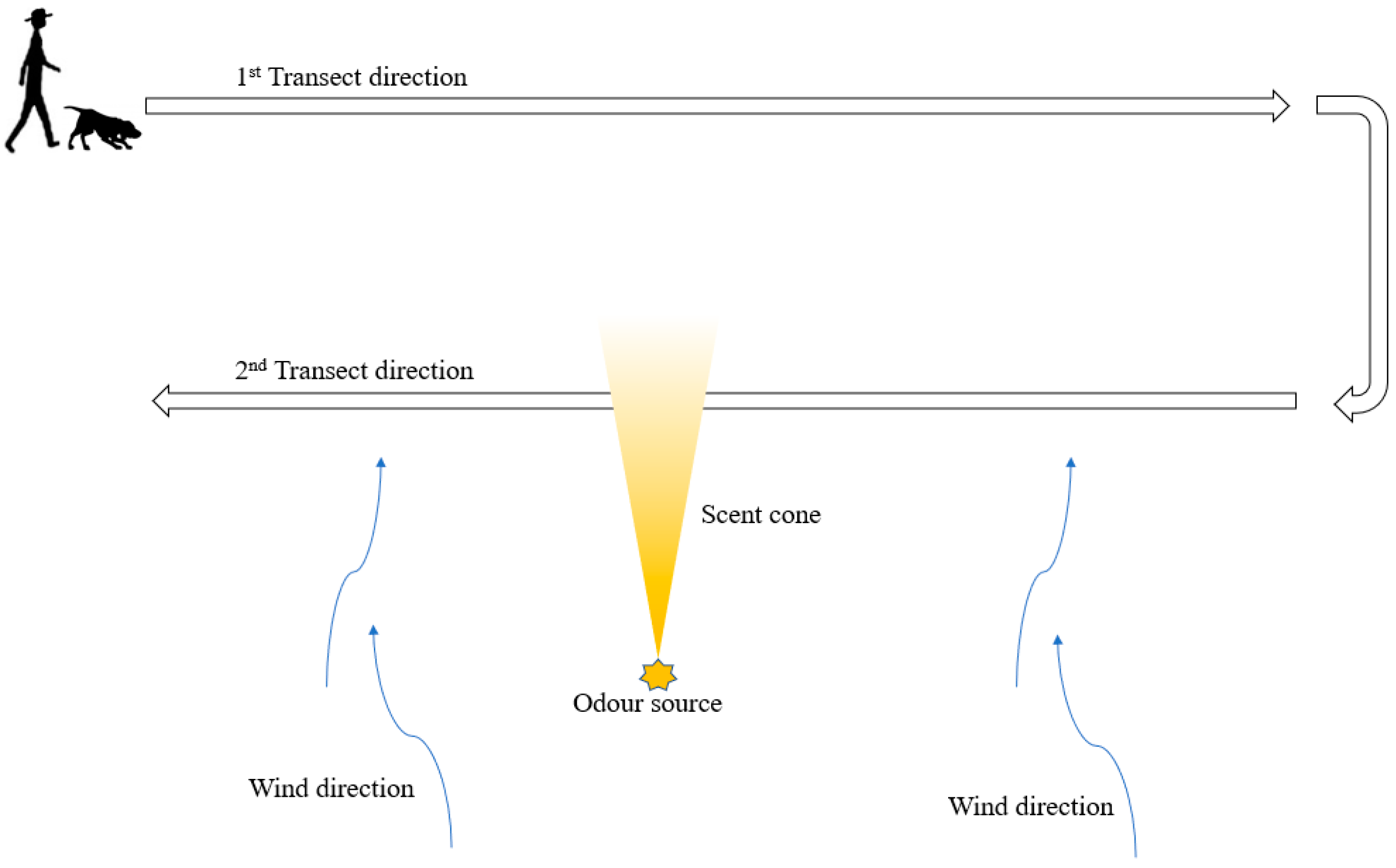 Animals 11 01177 g002