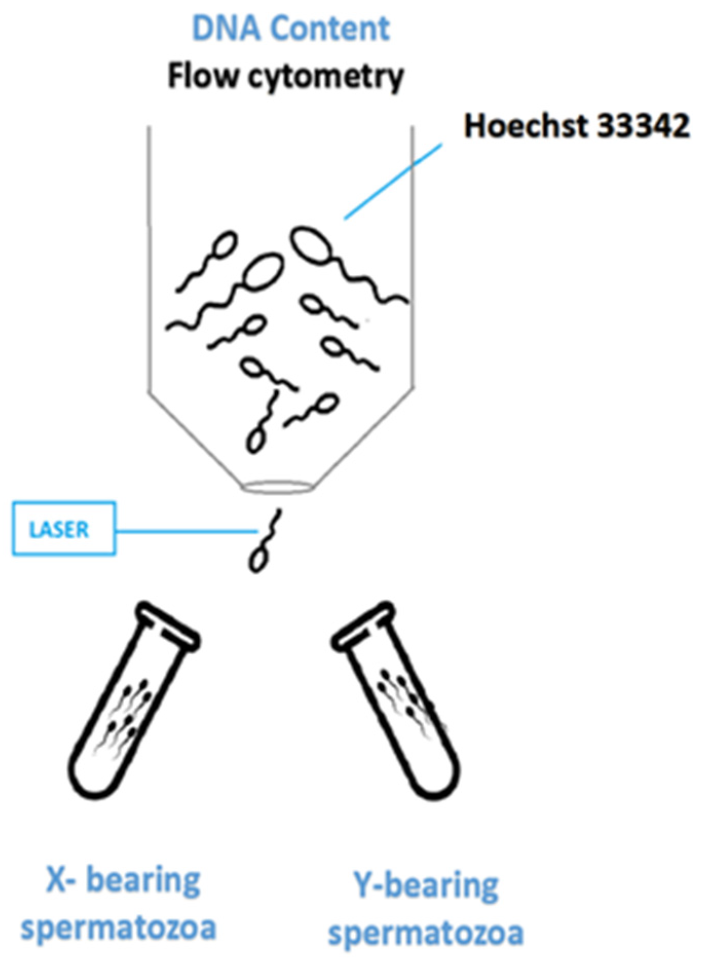 Animals 11 01182 g001 Animals 11 01182 g001