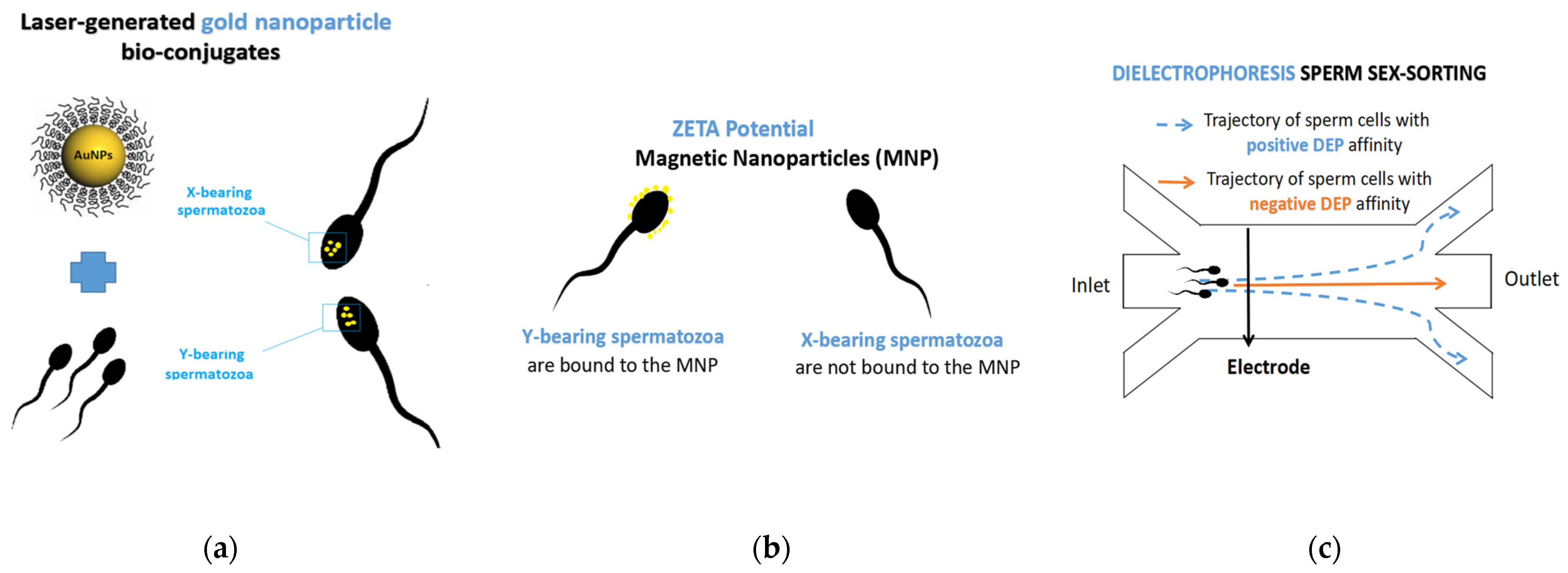 Animals 11 01182 g002 Animals 11 01182 g002