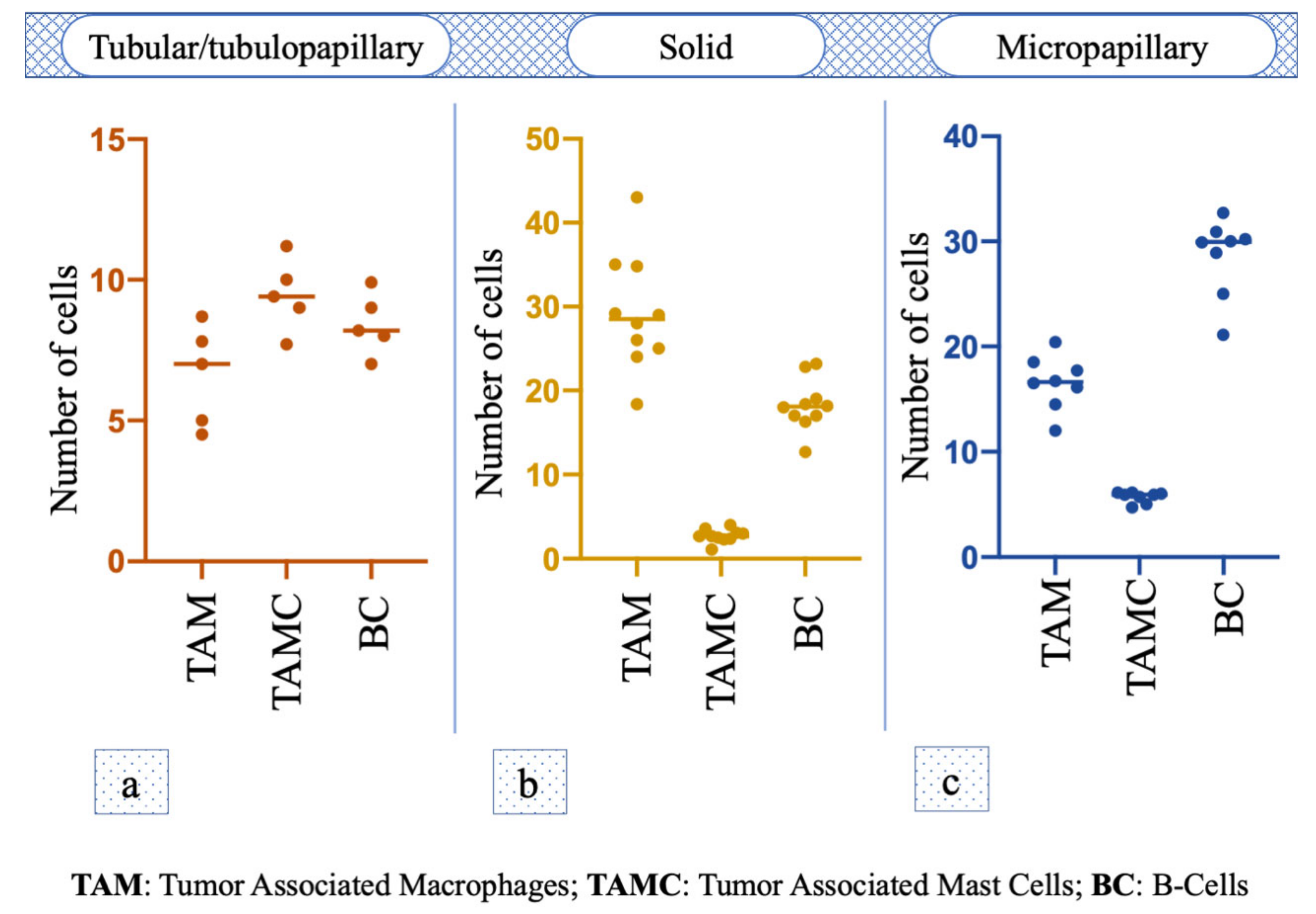 Animals 11 01189 g002 Animals 11 01189 g002
