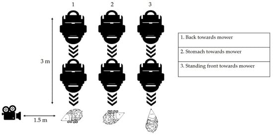 Animals 11 01191 g002