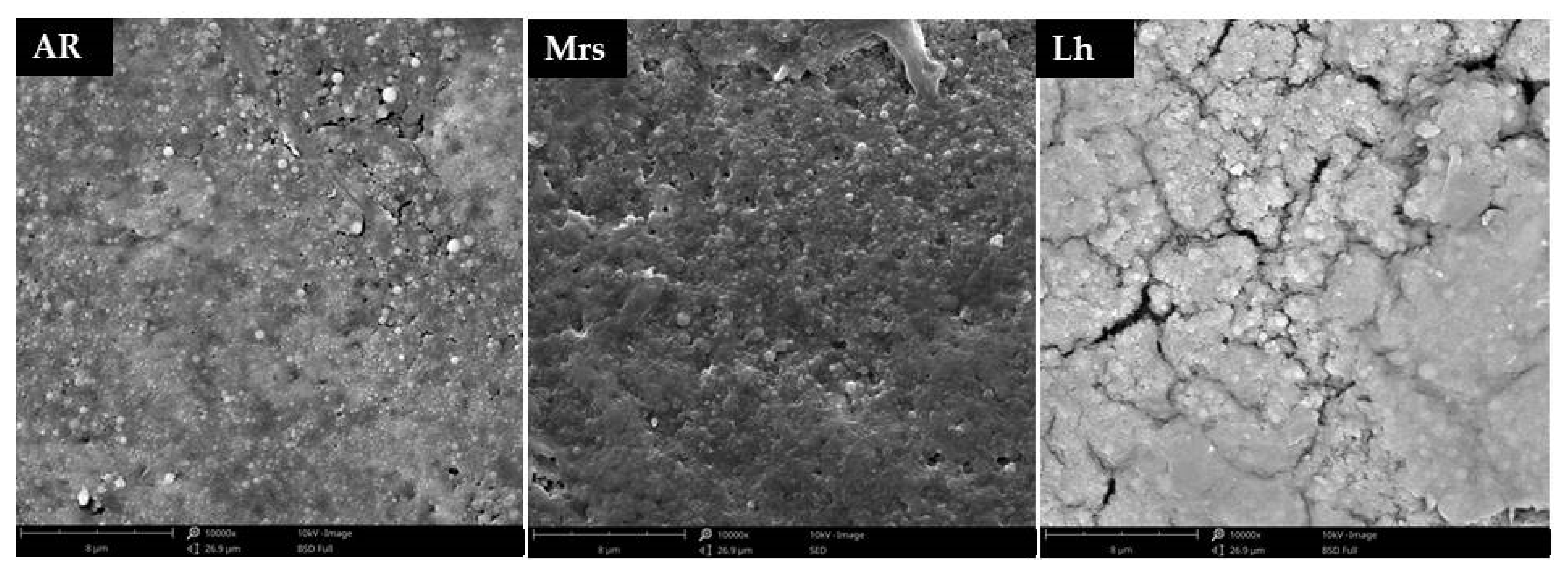 Animals 11 01204 g004