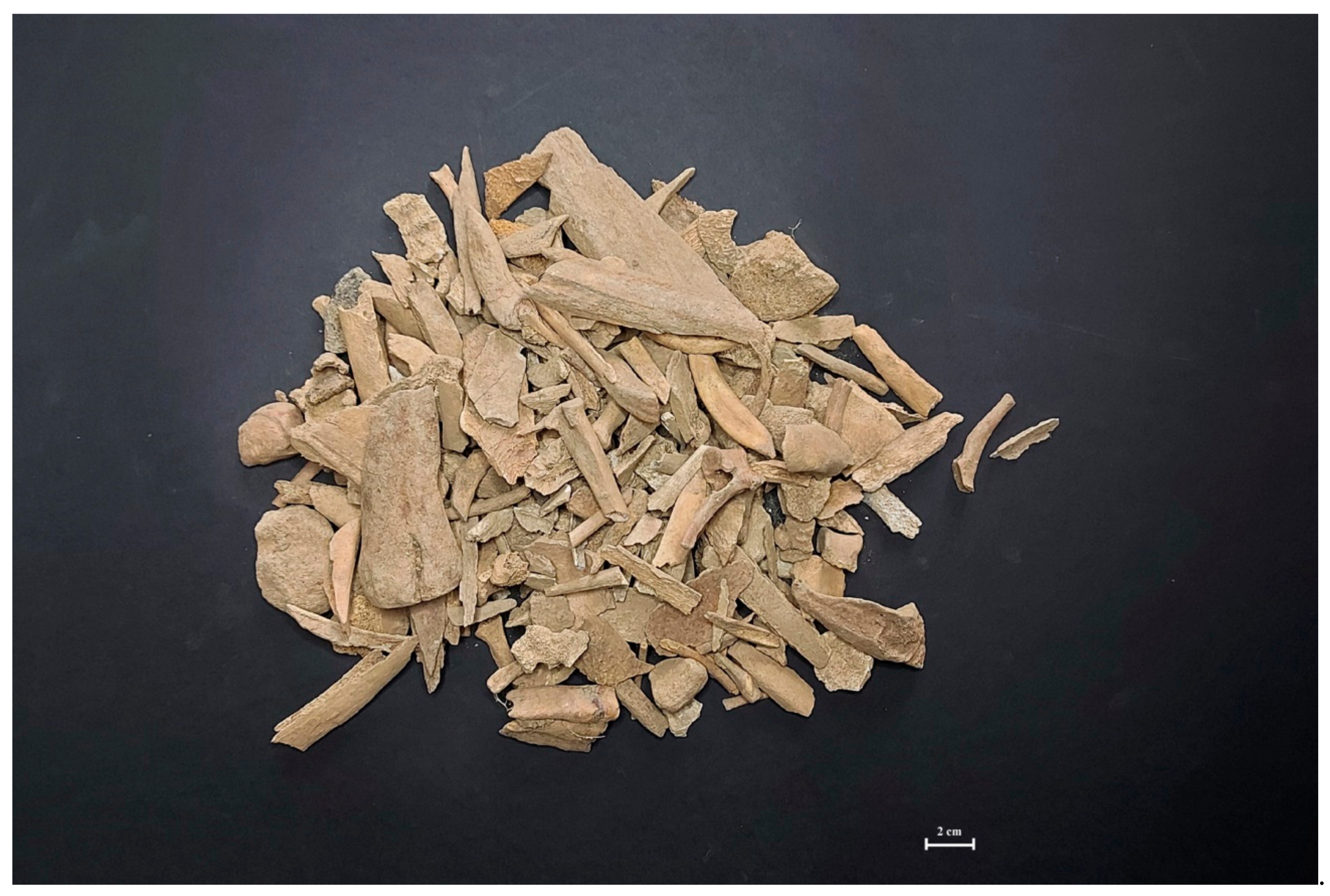 Animals 11 01210 g003