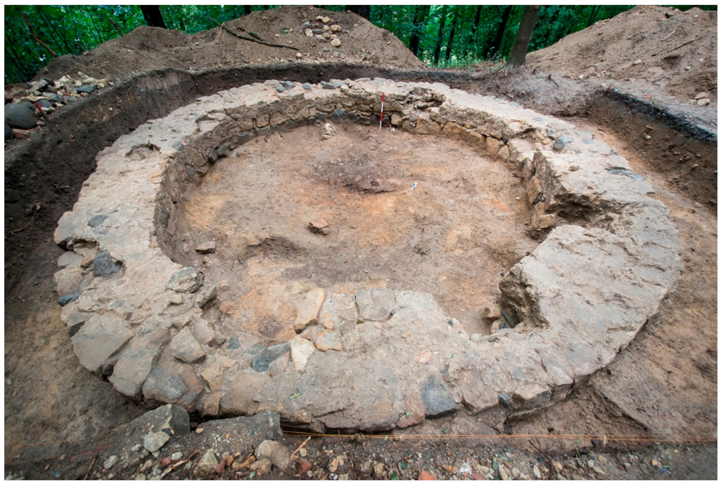 Animals 11 01210 g006