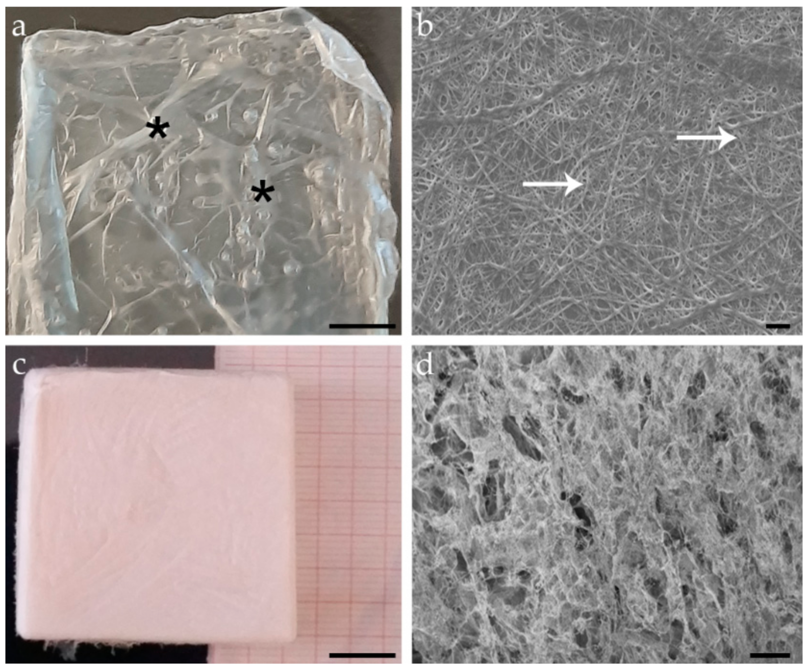 Animals 11 01219 g001