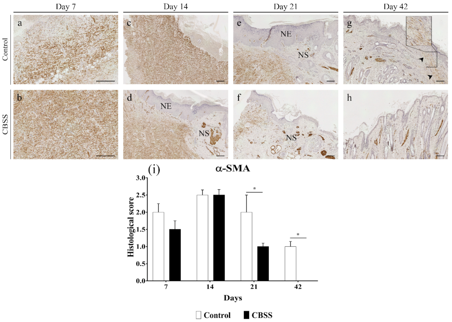 Animals 11 01219 g008