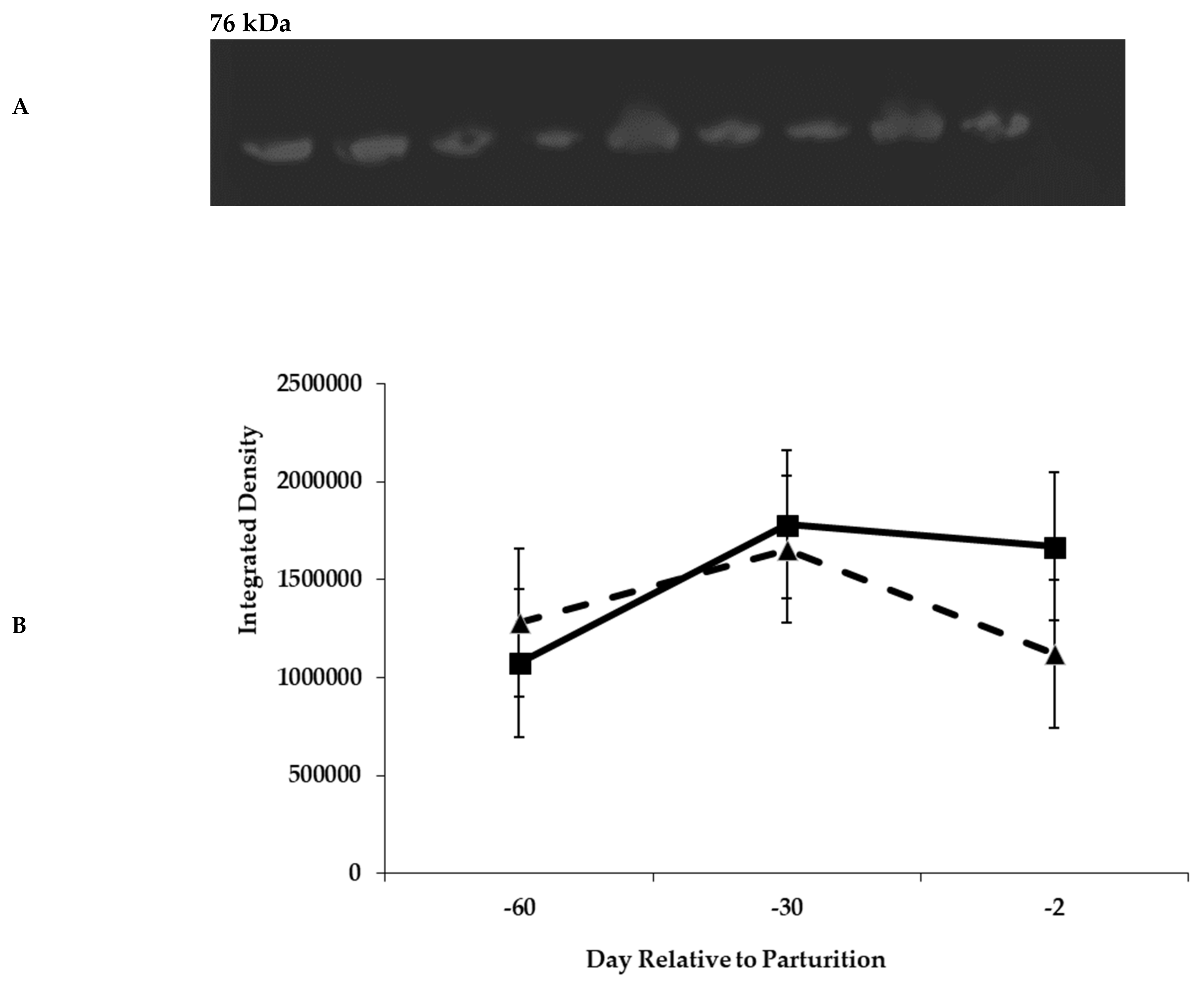 Animals 11 01230 g008