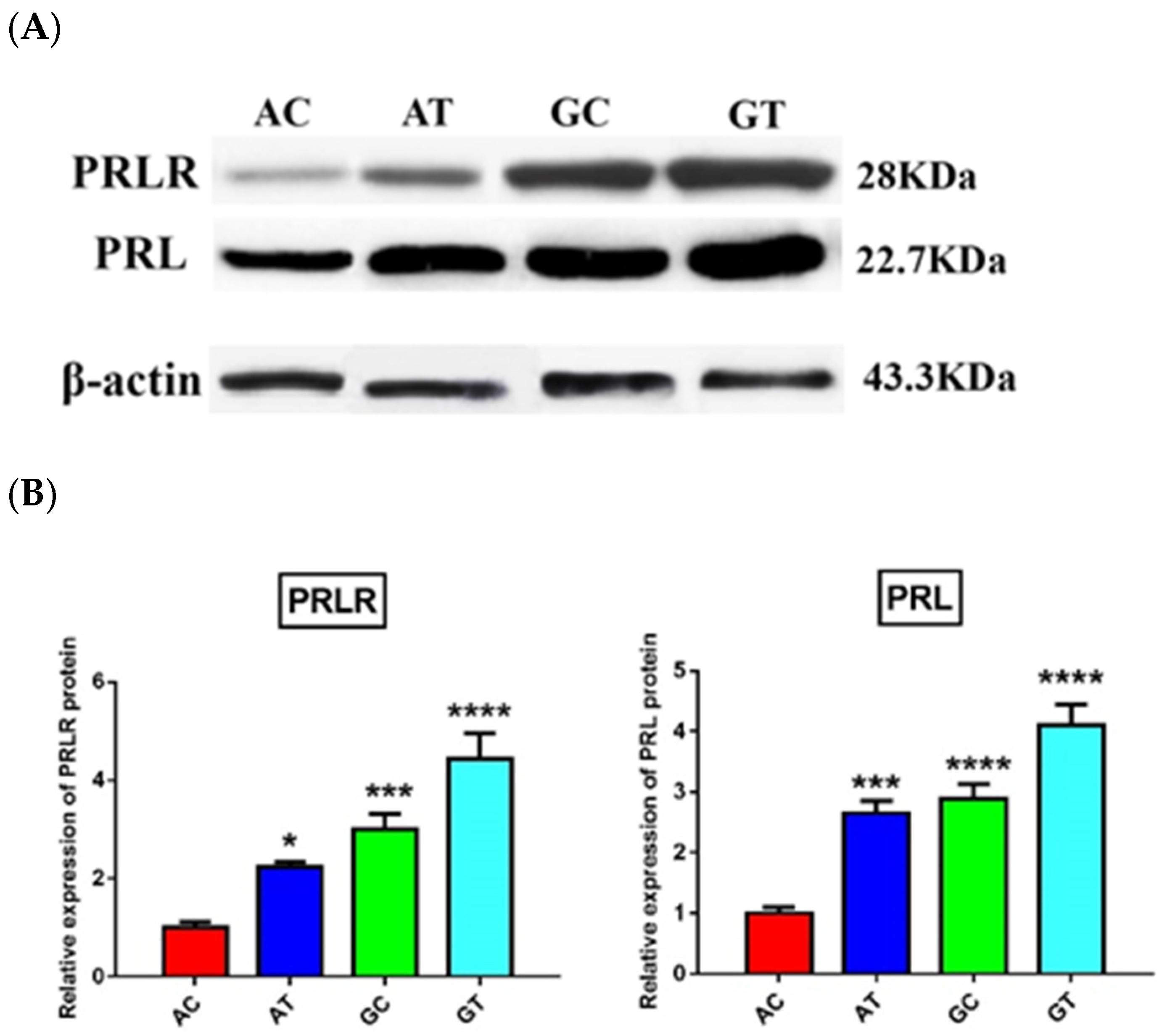 Animals 11 01237 g003 Animals 11 01237 g003