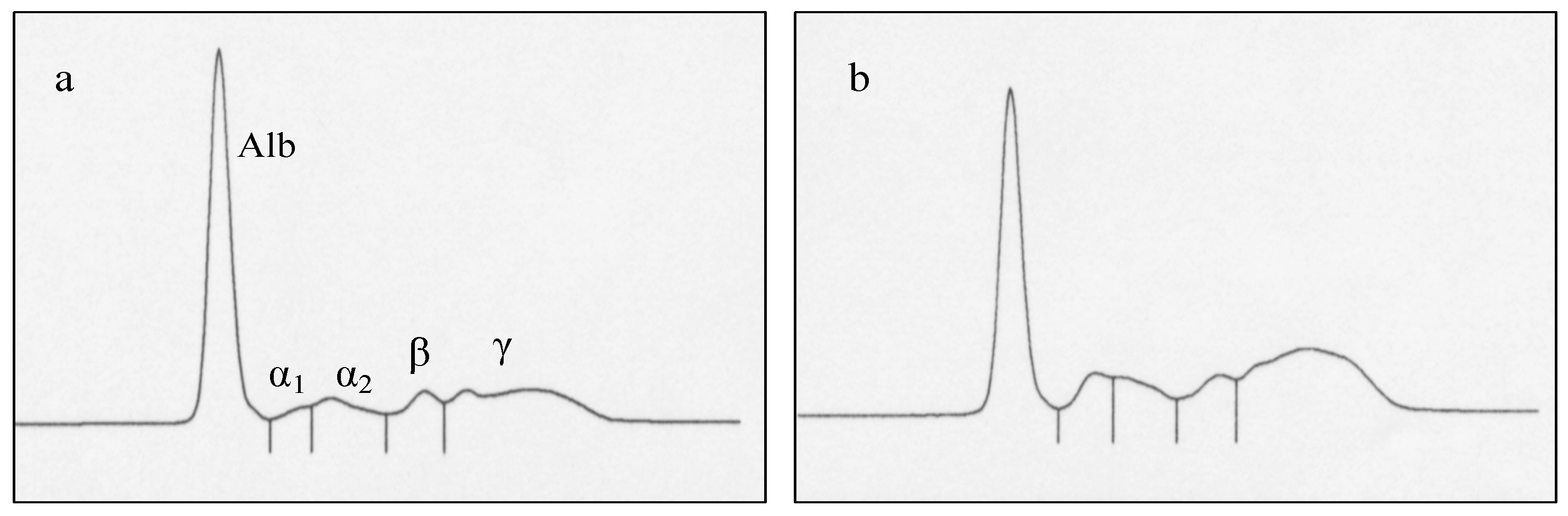 Animals 11 01241 g004