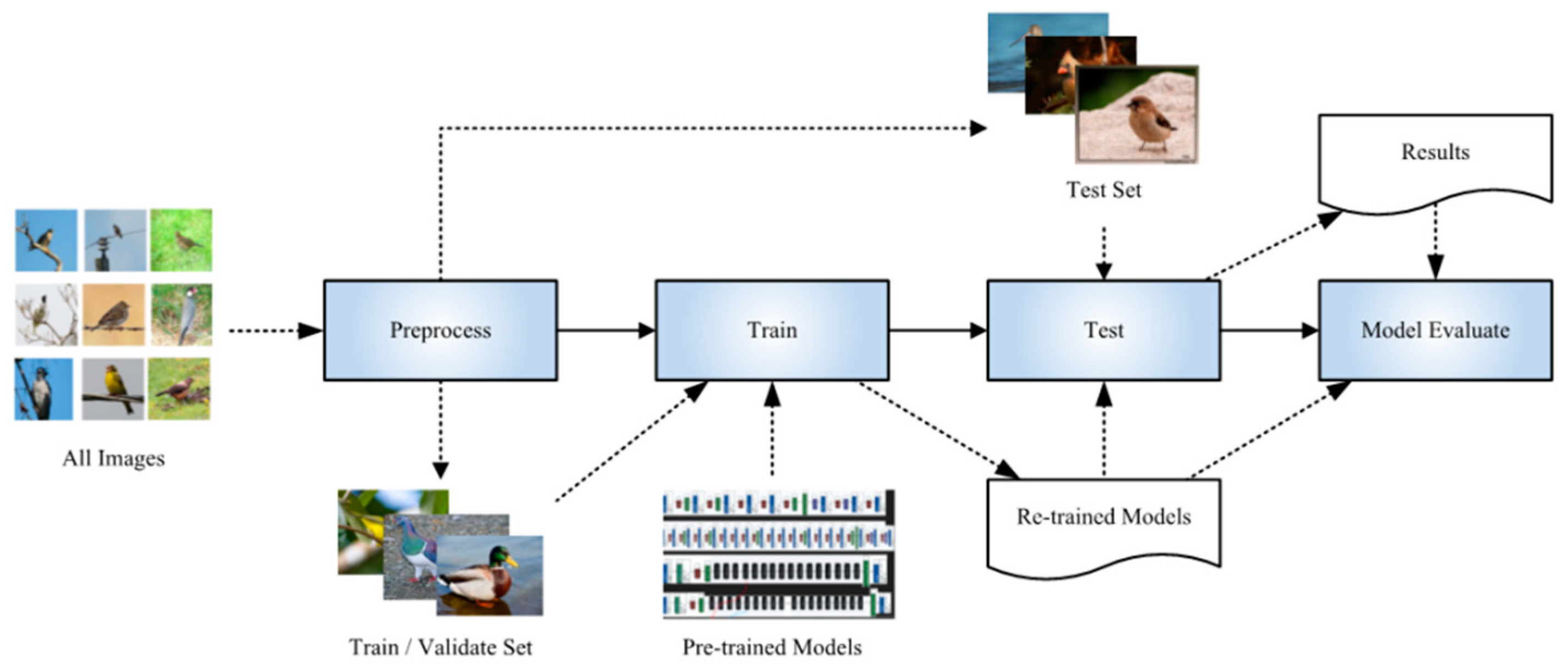 Animals 11 01263 g003
