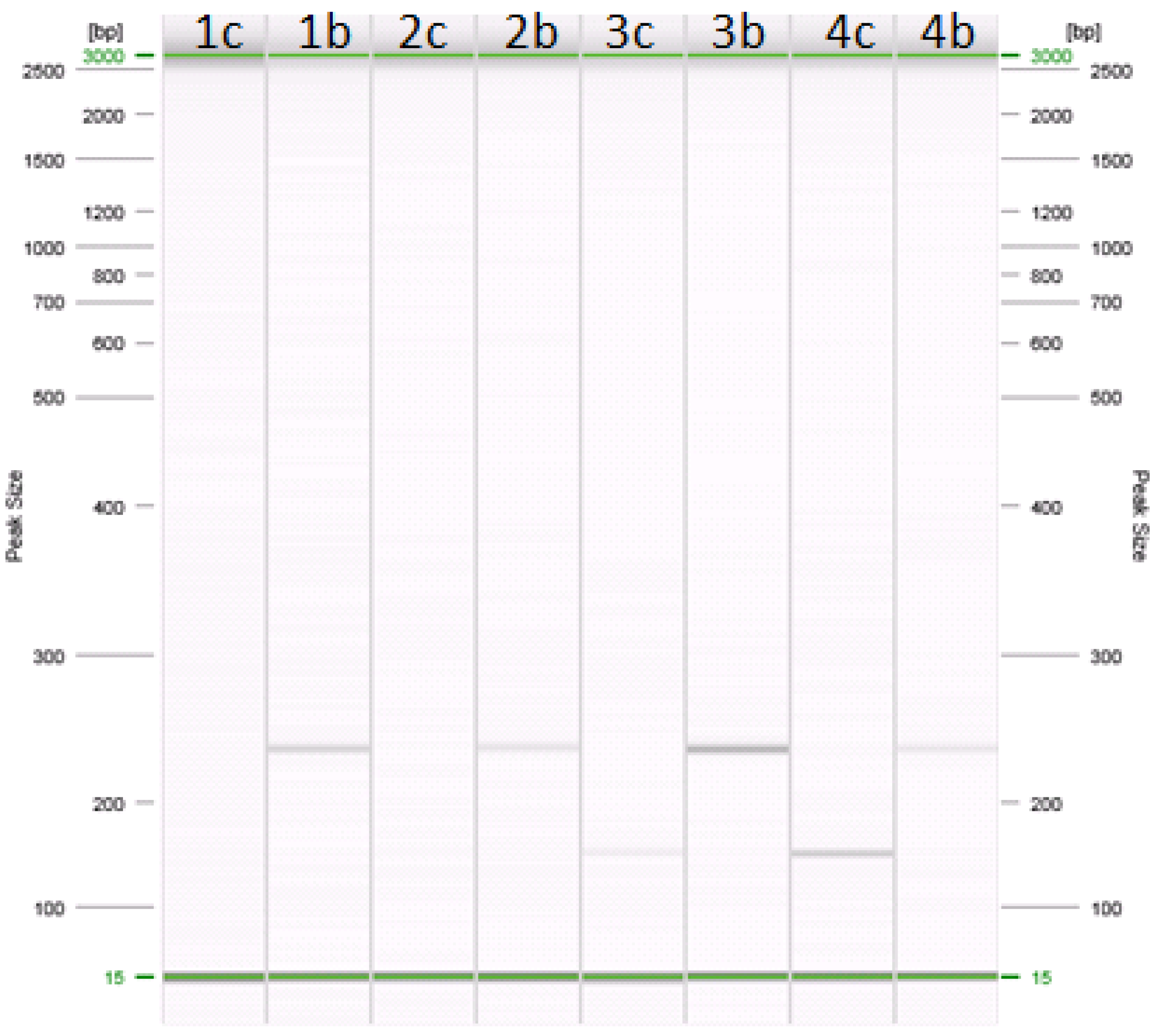 Animals 11 01270 g001