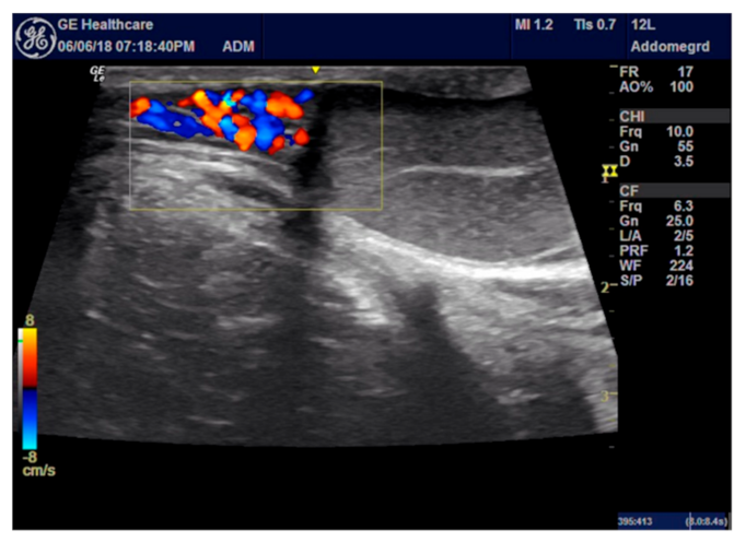 Animals 11 01275 g001