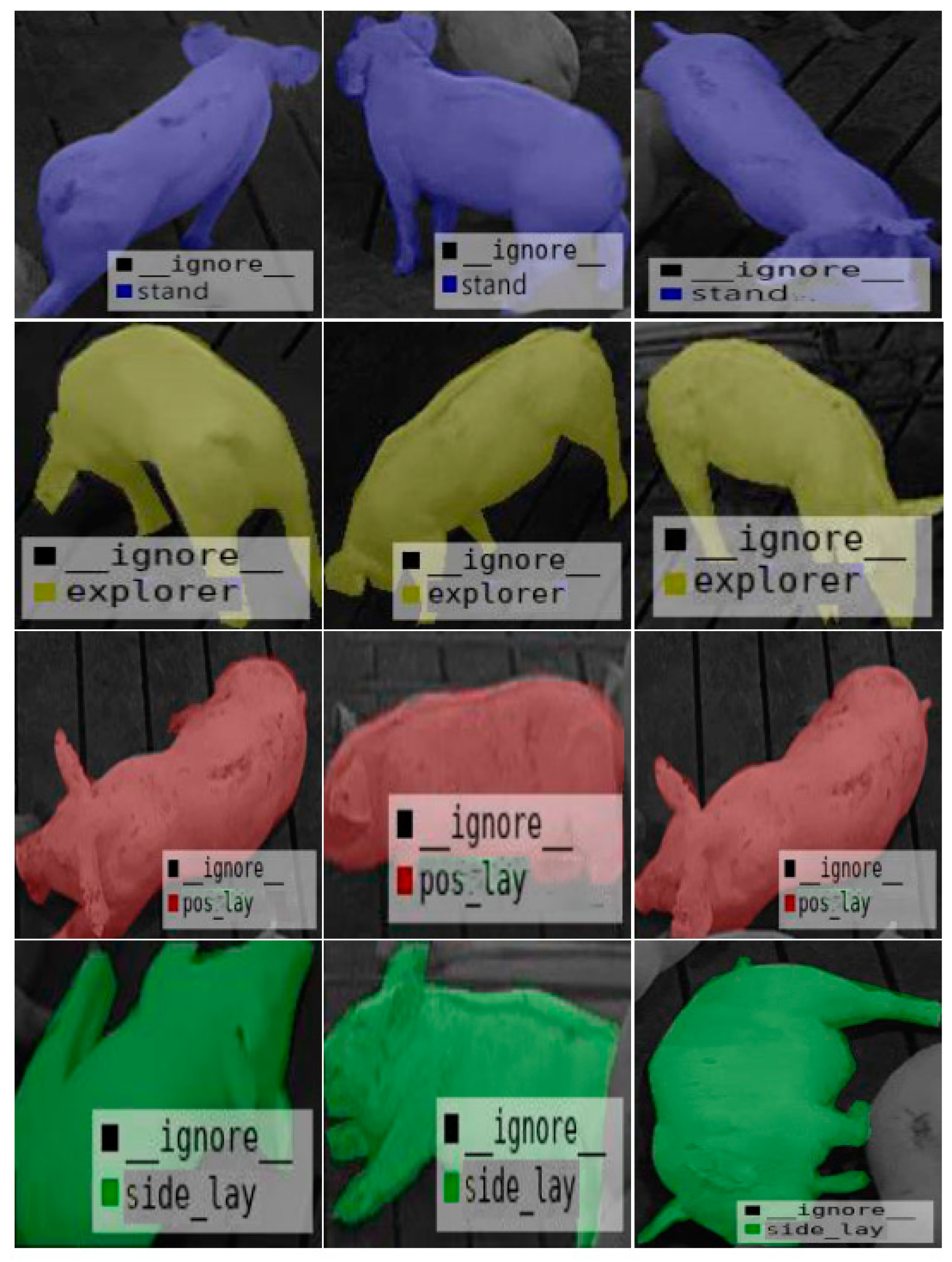 Animals 11 01295 g006